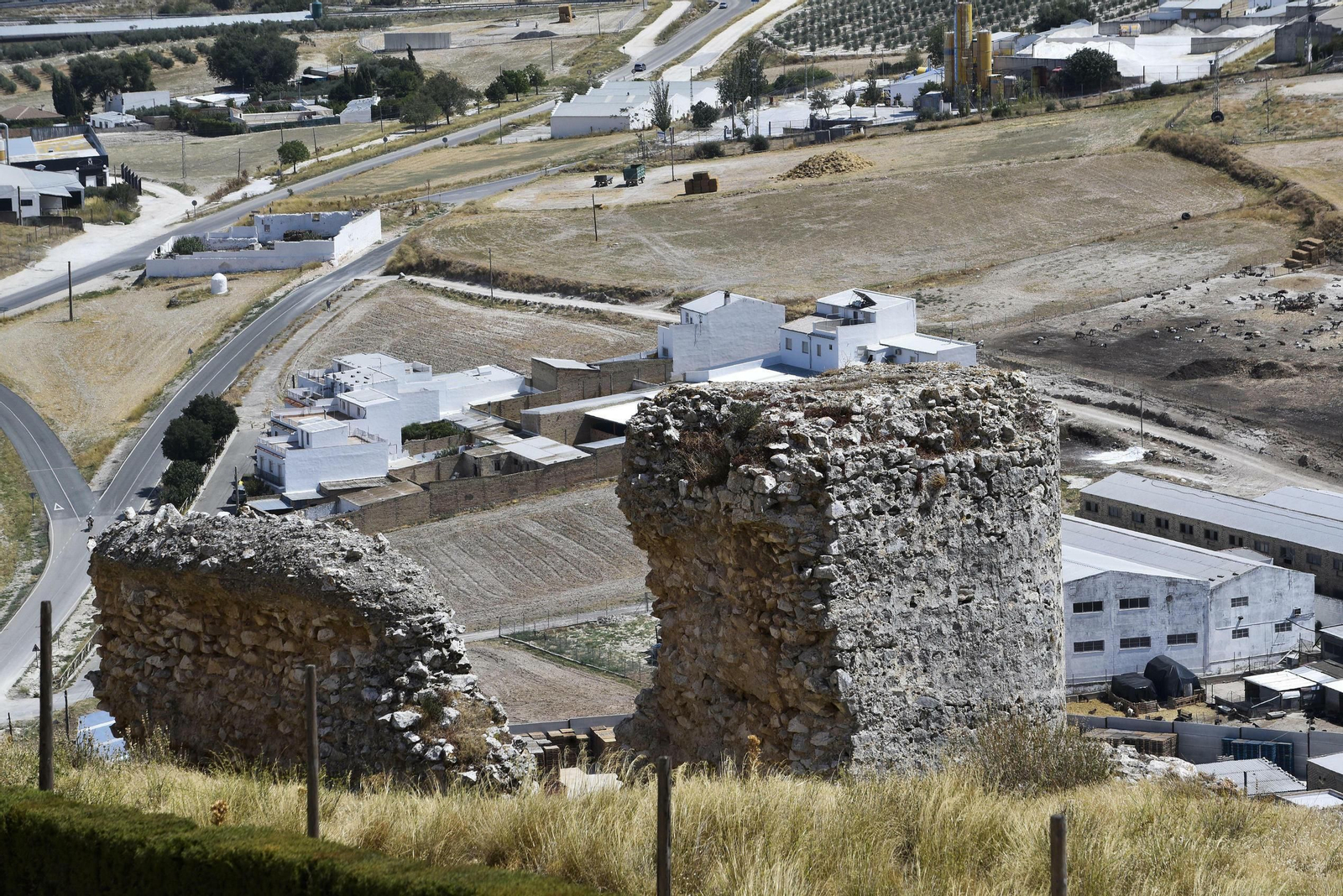 Estepa, en imágenes