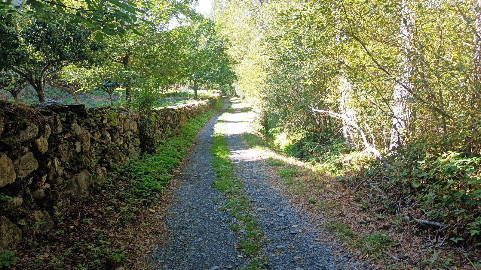 El sendero se suaviza tra Colinas del Campo de Martín Moro Toleado 