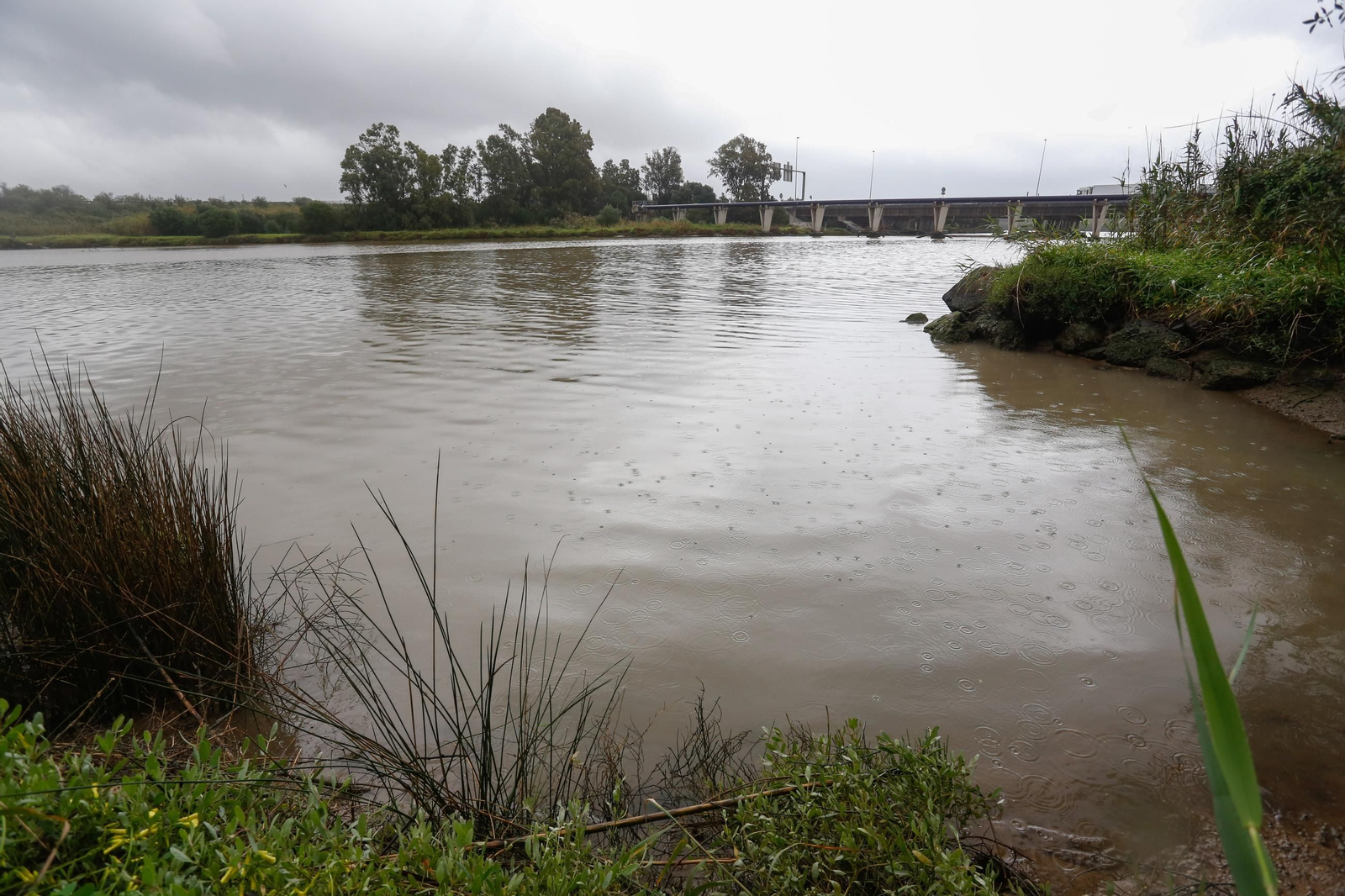 Fotos de los ríos del Campo de Gibraltar tras las últimas lluvias
