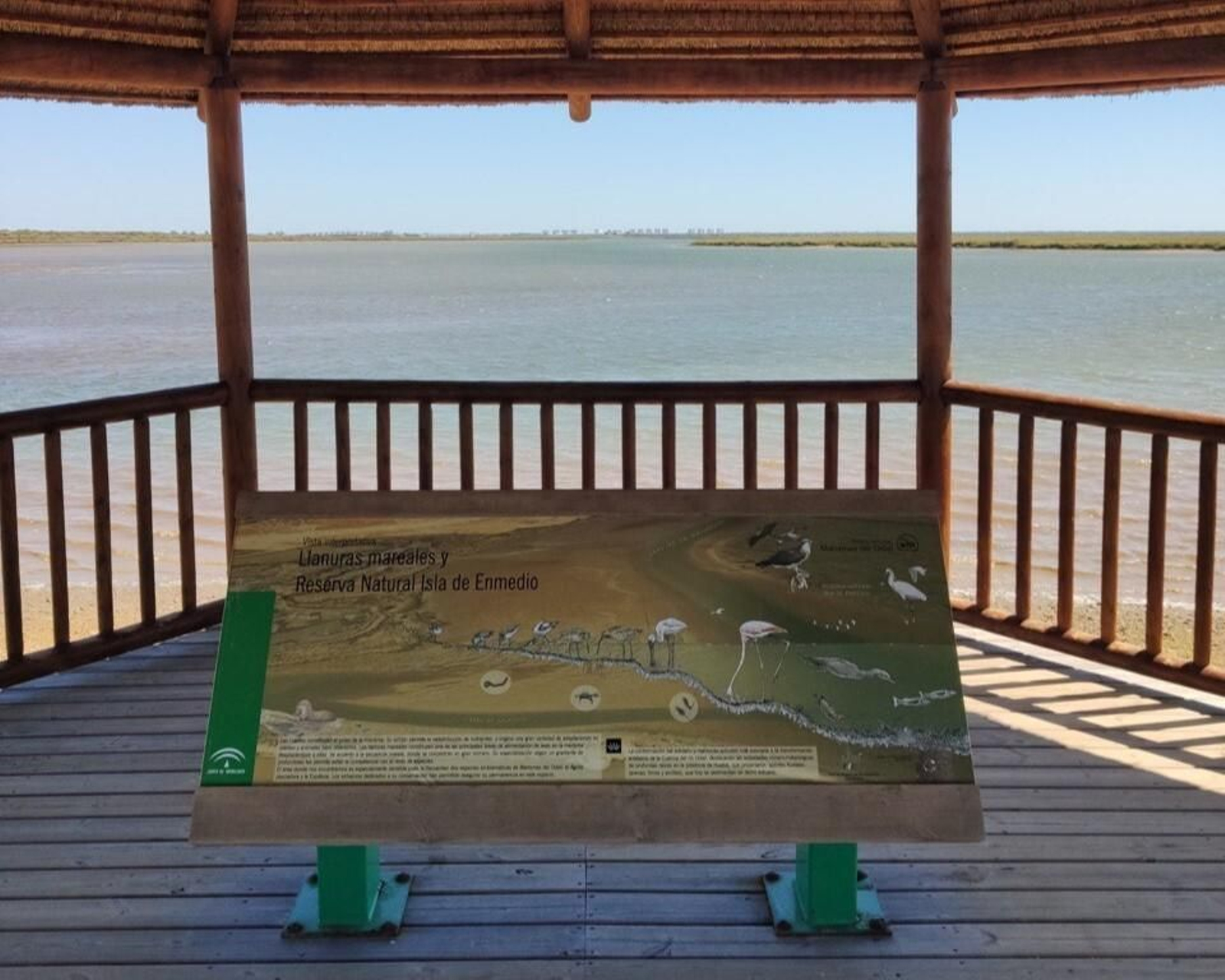 Mirador de la Isla de Enmedio Seis miradores desde los que enamorarte de Huelva