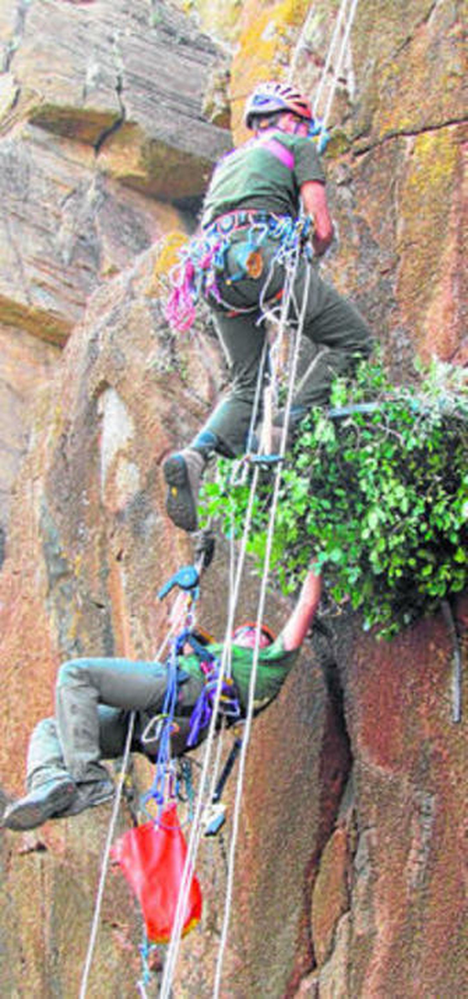 Medio ambiente desde las alturas