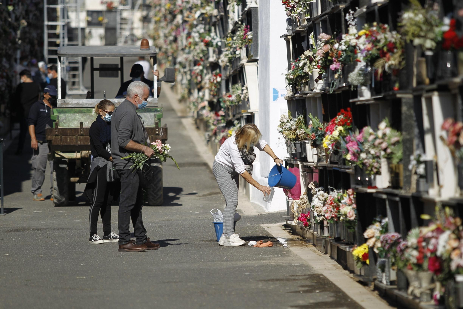 Fotogalería Día de Todos los Santos. Cementerio de San José. Almería