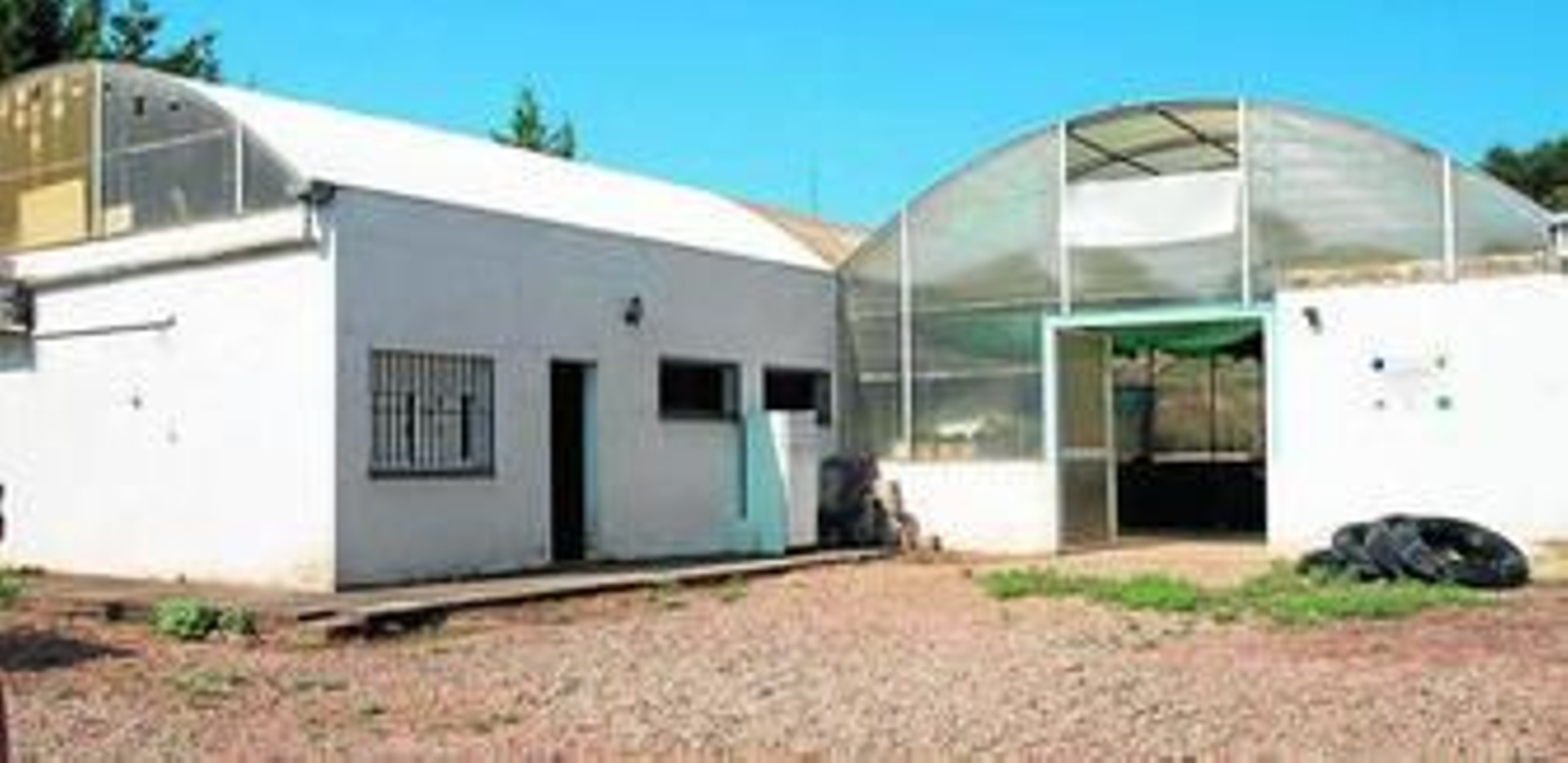 Instalaciones que la empresa Granjas Piscícolas del Sur tienen ya en marcha en el término municipal de Adamuz.