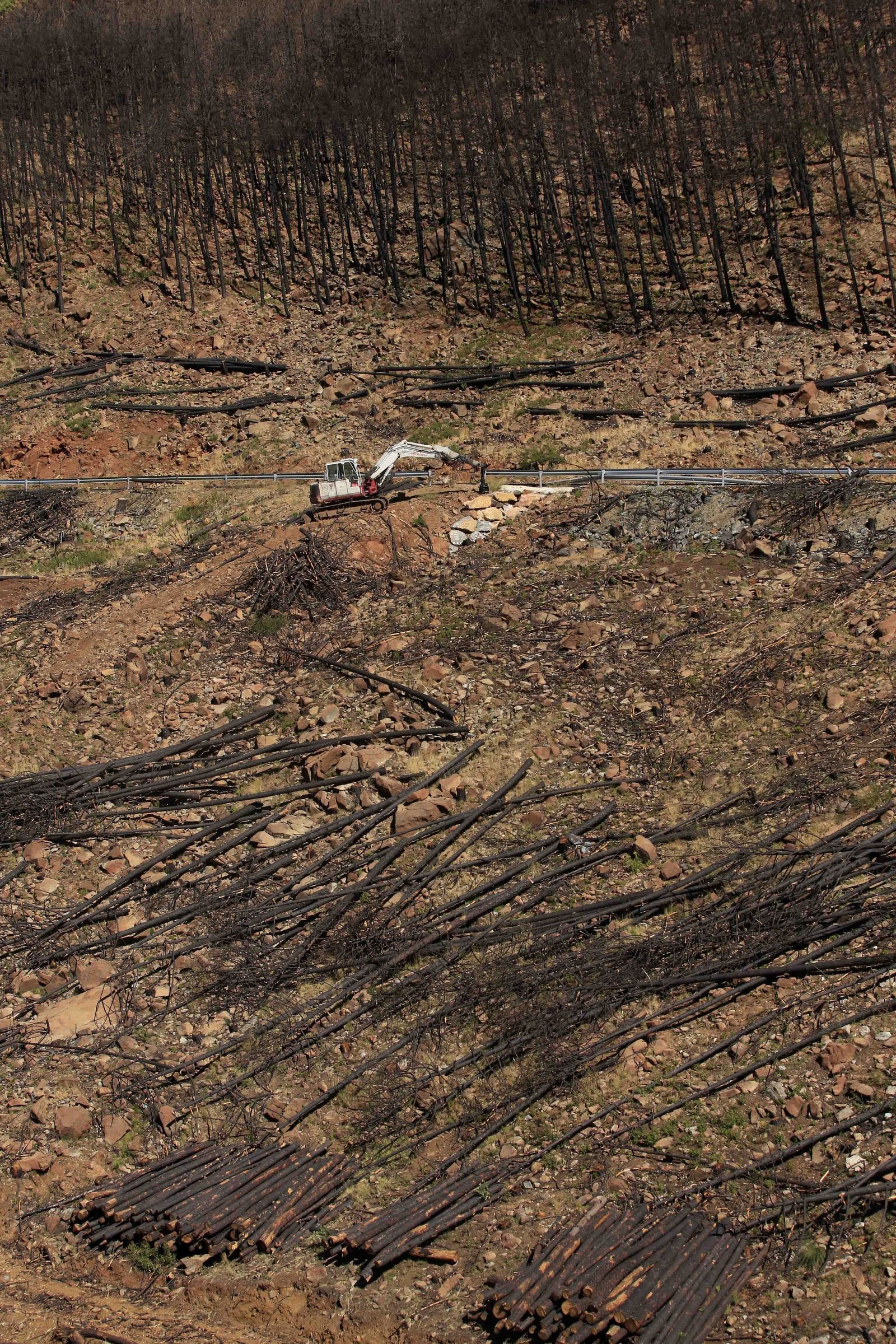 Un año del gran incendio de Sierra Bermeja, en fotos.