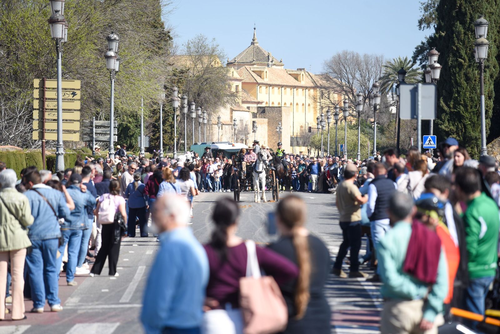 Las mejores imágenes de la Marcha Hípica Córdoba a Caballo del 28F de 2026