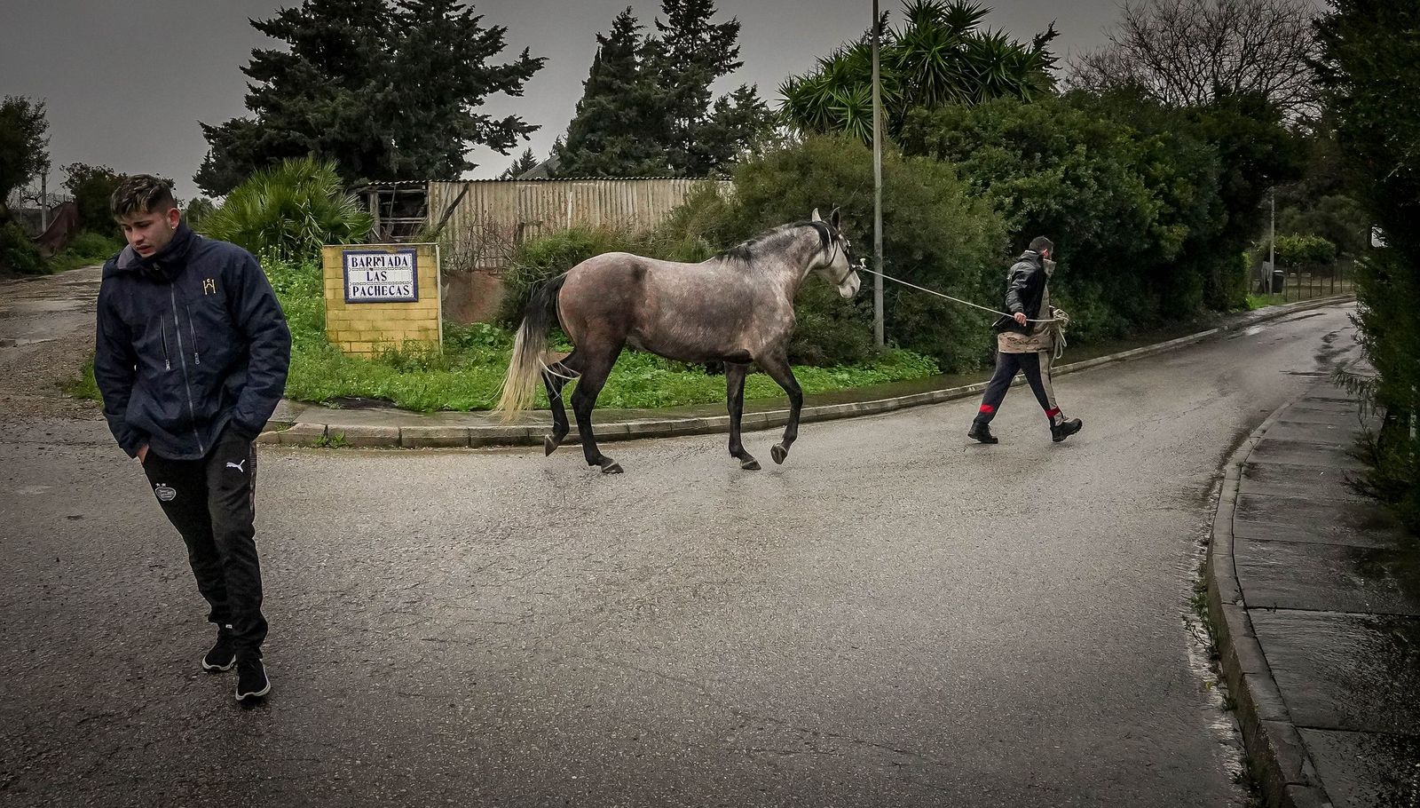 Imágenes de las graves consecuencias de la crecida del rio Guadalete en la zona rural de Jerez