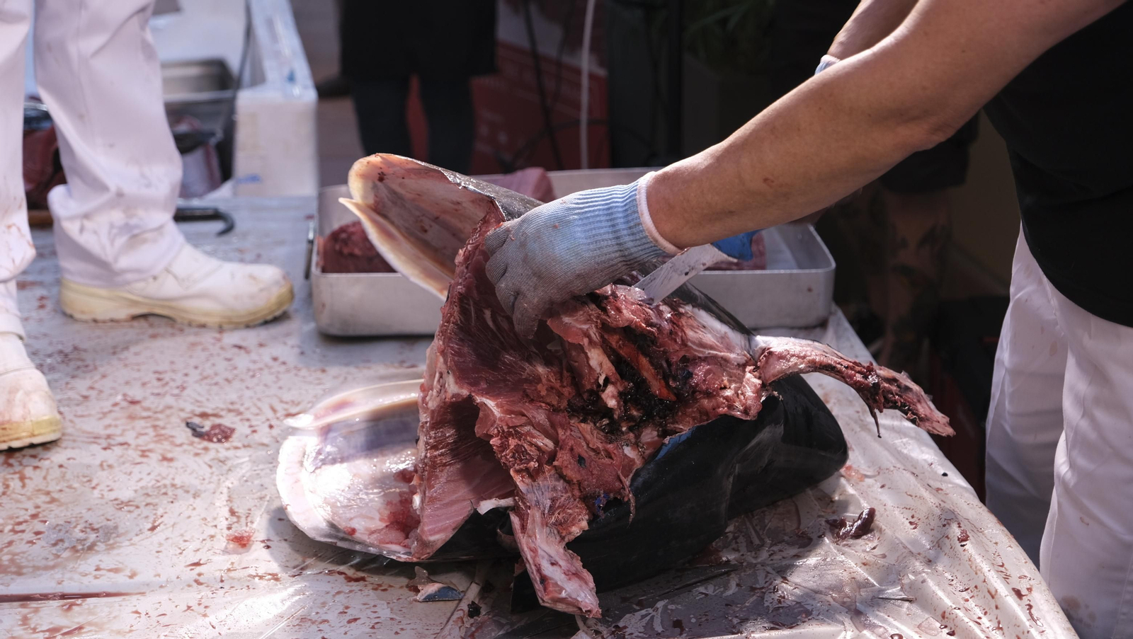 Jornadas del ronqueo del atún rojo de almadraba, en el Espacio Gastrómico Tony García.