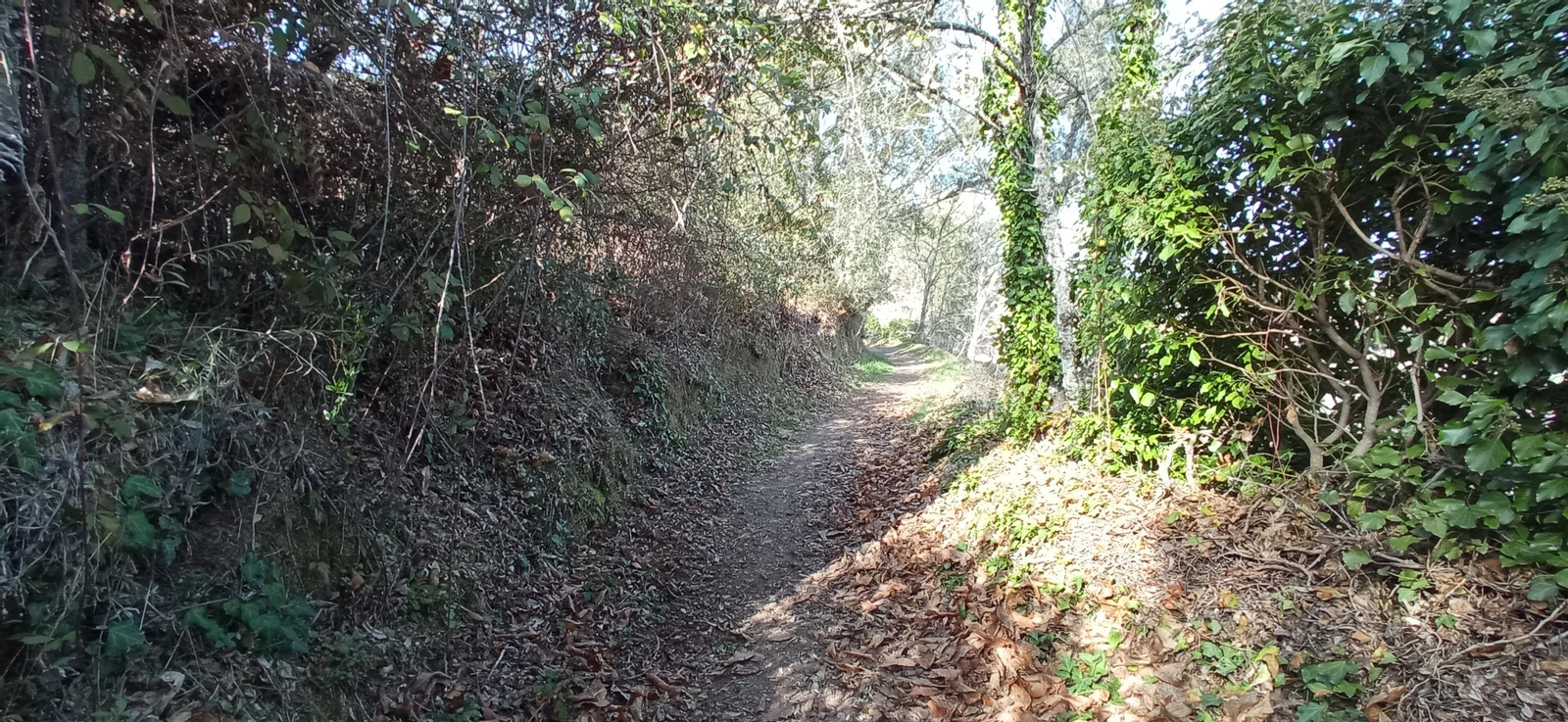 Las imágenes de la ruta de la Dehesa de Valdelama: De Los Marines a Fuenteheridos y vuelta