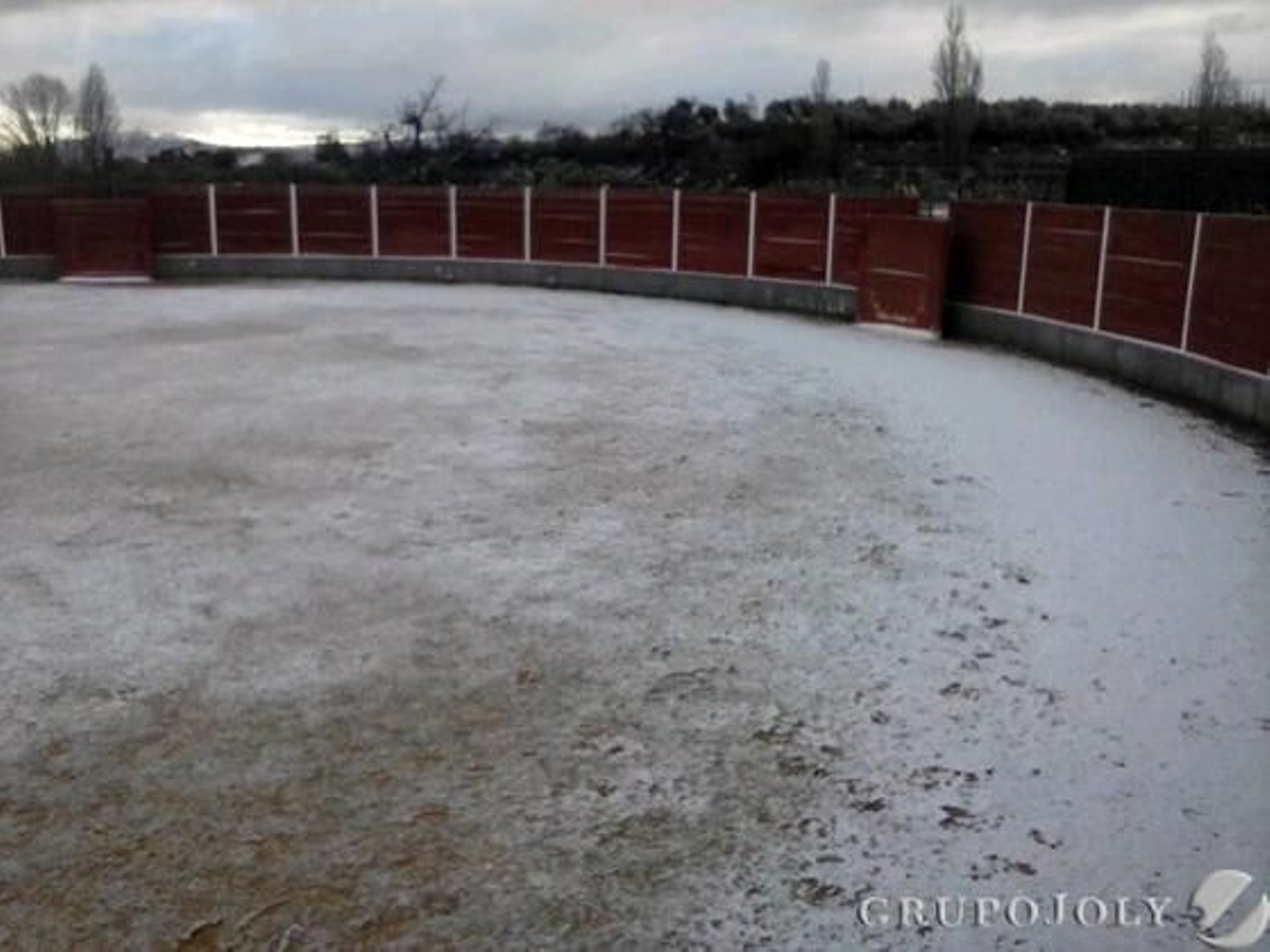Las imágenes de la nieve en Granada