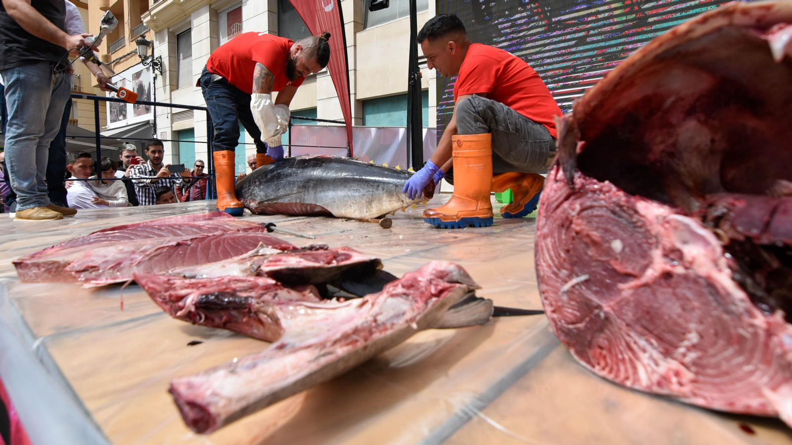 Fotos del ambiente en la Ruta del Atún de La Línea