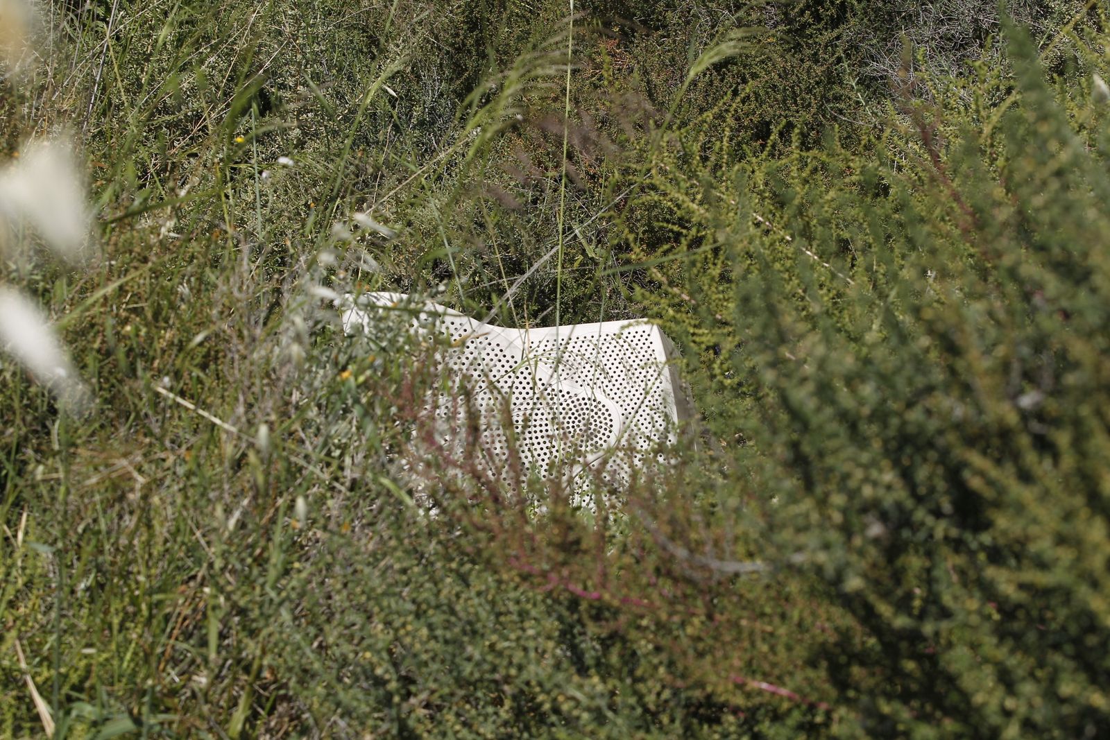 Fotogalería basura en el Desierto de Tabernas