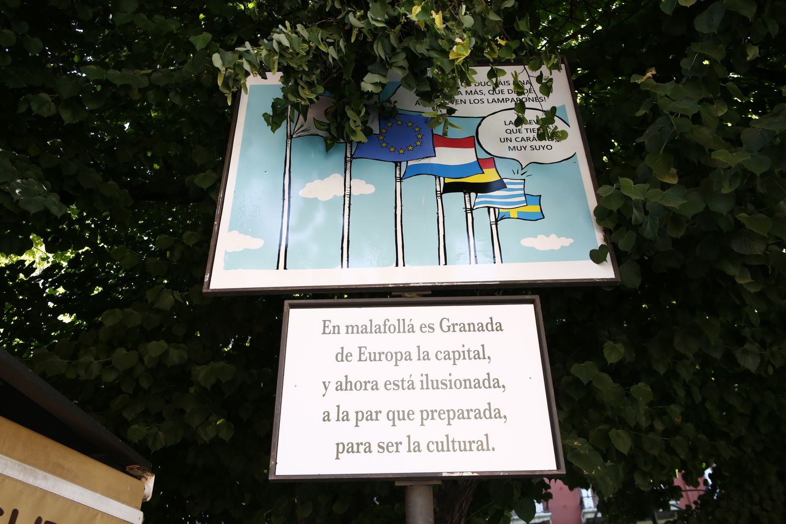 Las 20 carocas de la Feria del Corpus 2019