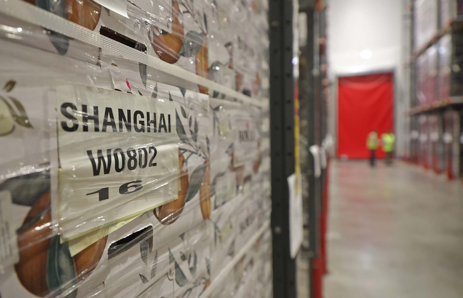 Fotos de la visita a la empresa Americold en el Puerto de Algeciras