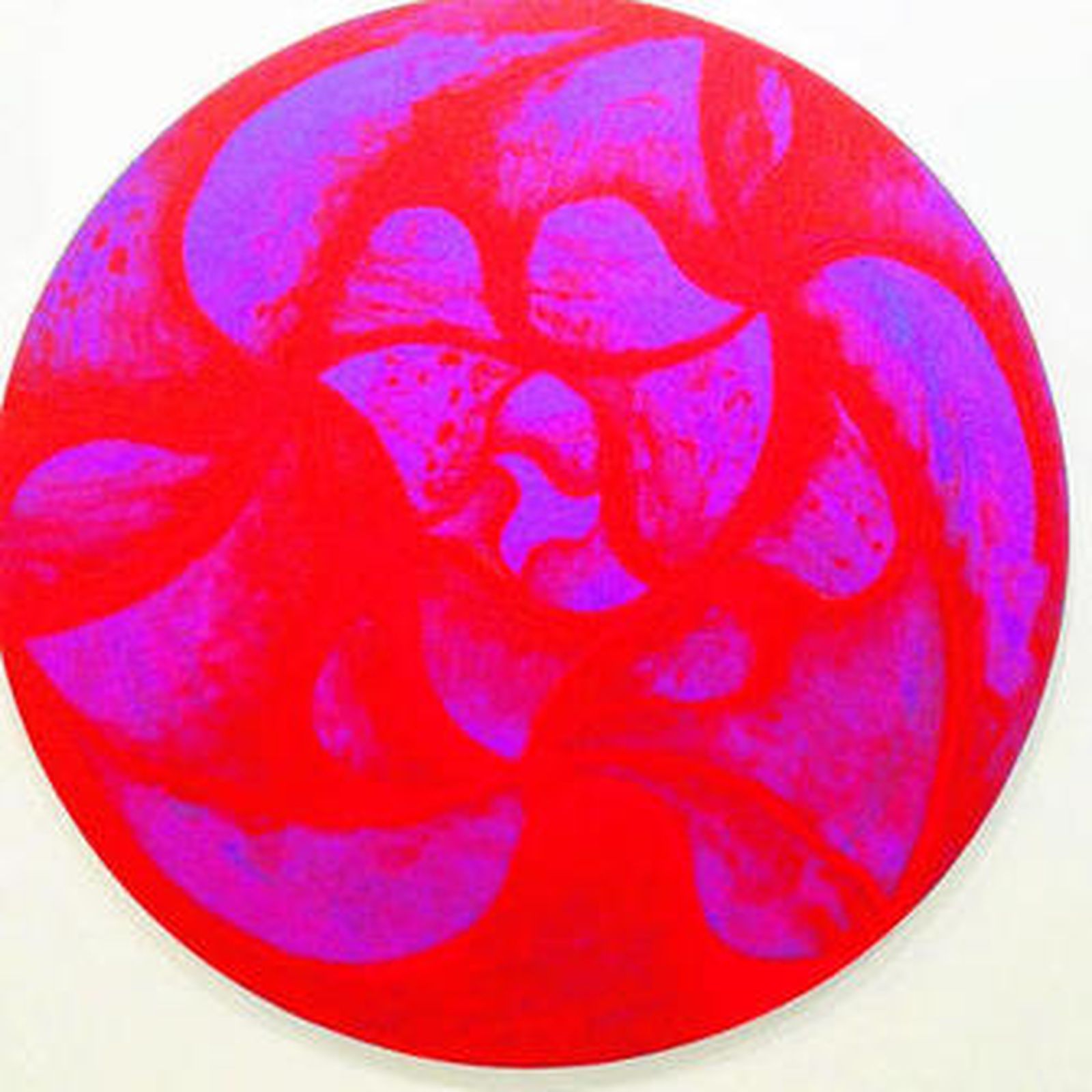 Un sinfín de ritmos. A la derecha, la obra 'Pájaros de agua'. Sobre estas líneas, 'Una rosa es una rosa'. Abajo, 'Torbellino'. Todas realizadas en acrílico sobre lienzo.