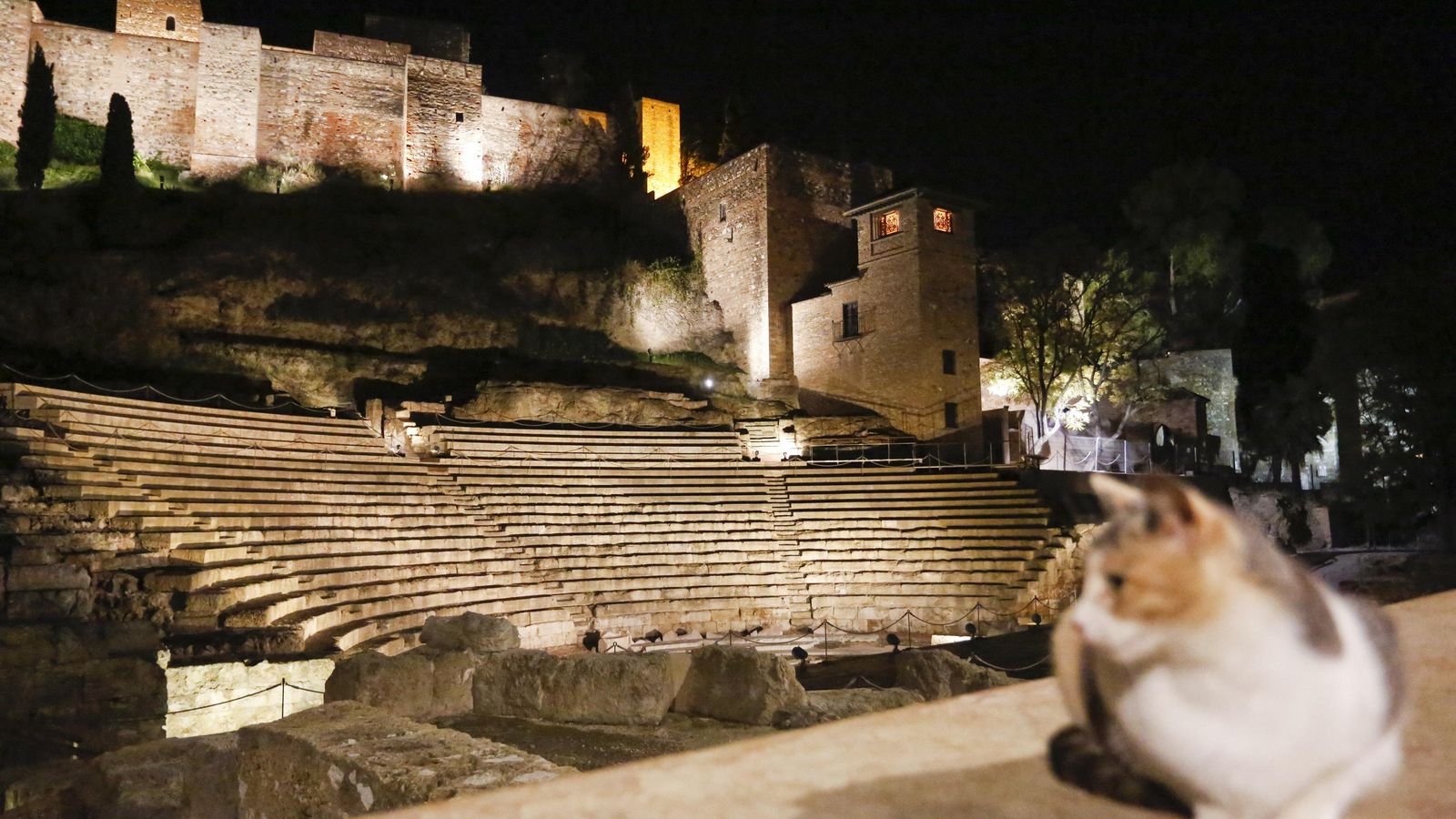 El Teatro Romano de Málaga y uno de sus curiosos visitantes.