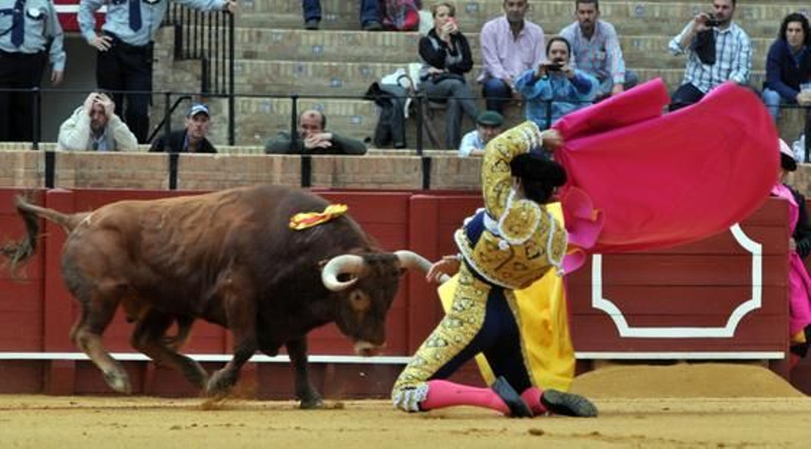 Salvador Cortés, en una larga cambiada de rodillas a portagayola.

Foto: Manuel Gómez
