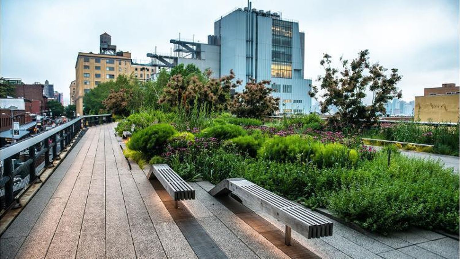 En cualquier lugar hay espacio para la naturaleza y para el colorido floral.