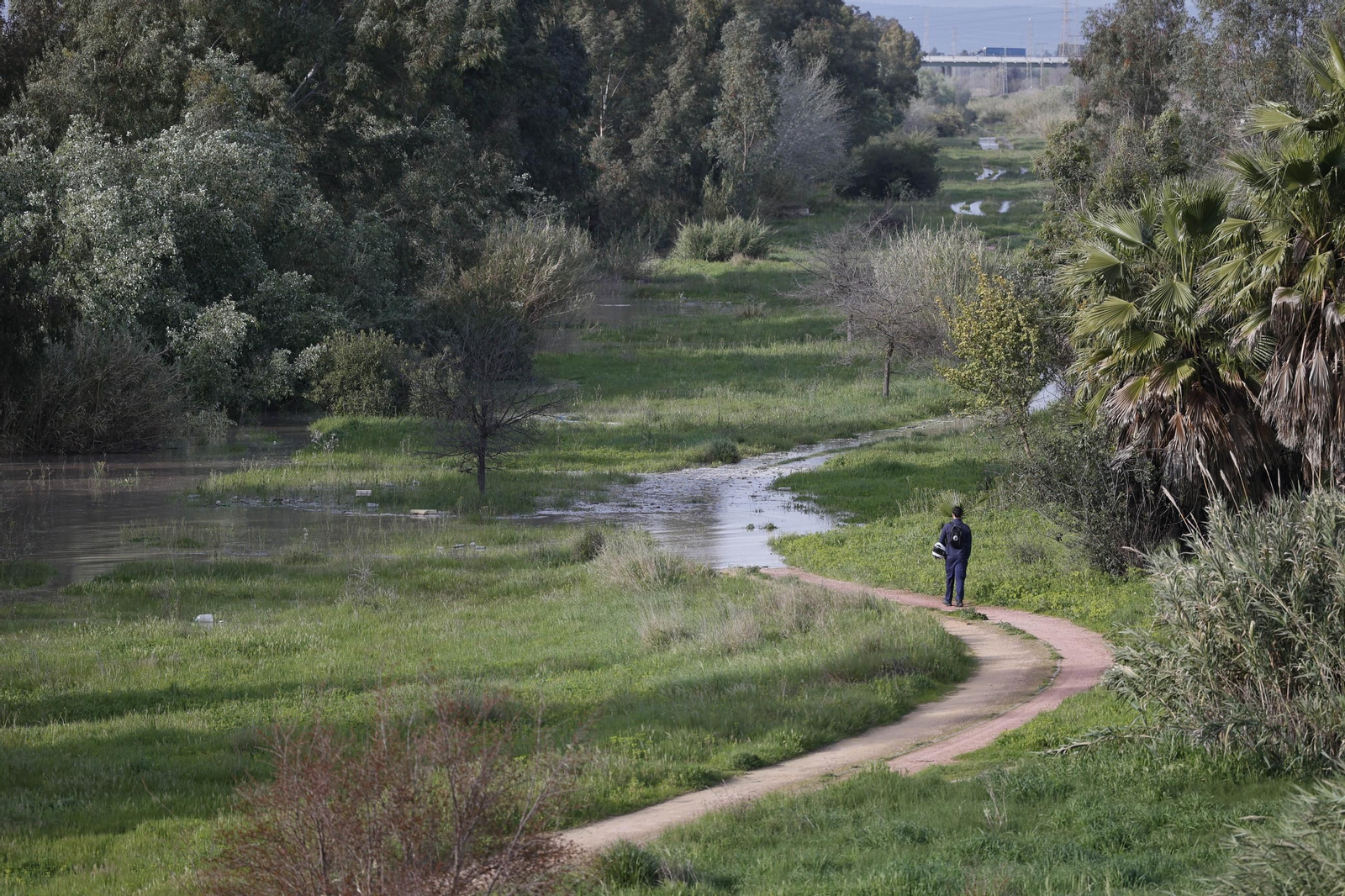 Las imágenes de la crecida del río Gualquivir en Sevilla