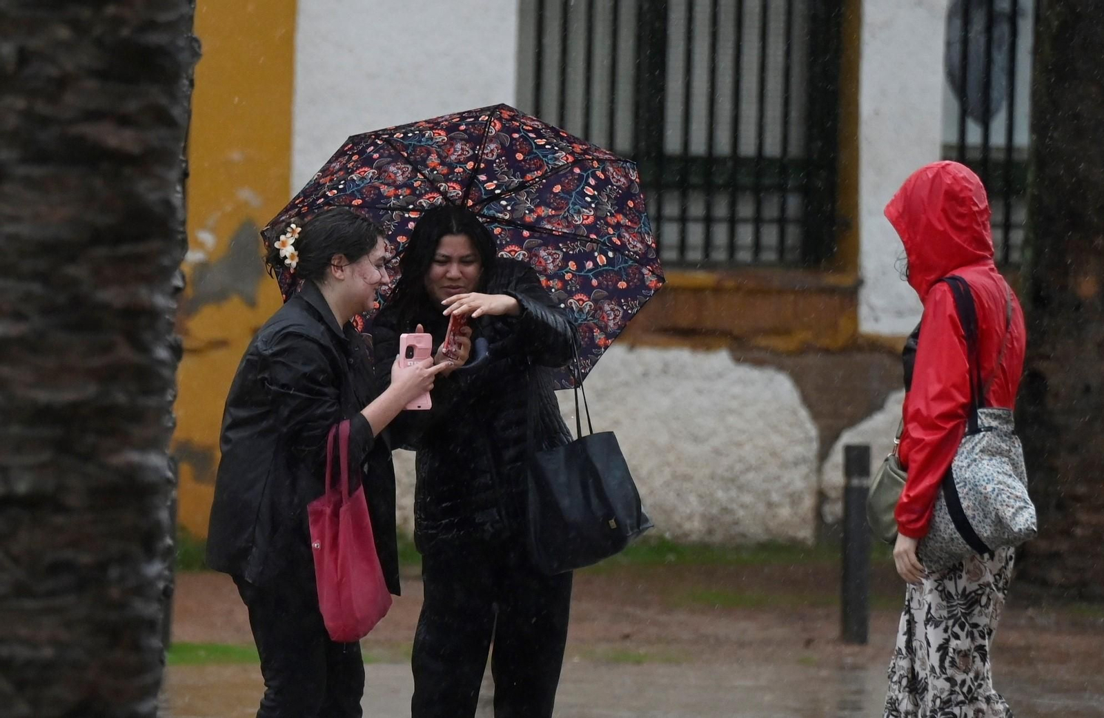 El paso de la borrasca Claudia por Córdoba en imágenes