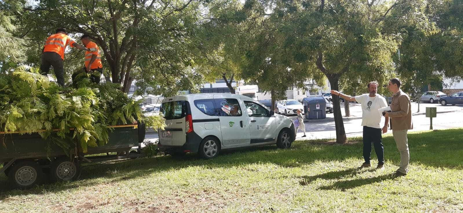 El Ayuntamiento de Jerez sigue actuando en la resolución de las 112 incidencias registradas tras los efectos de la borrasca ‘Aline’ El Ayuntamiento de Jerez sigue actuando en la resolución de las 112 incidencias registradas tras los efectos de la borrasca ‘Aline’