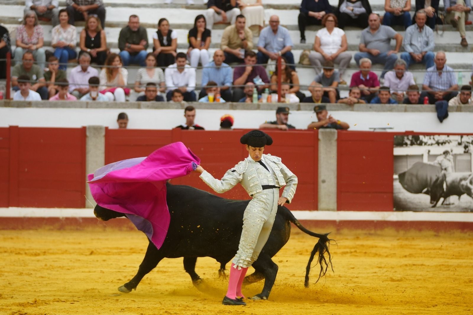 El mano a mano de los novilleros José Antonio de Gracia y El Candela en Pozoblanco, en imágenes
