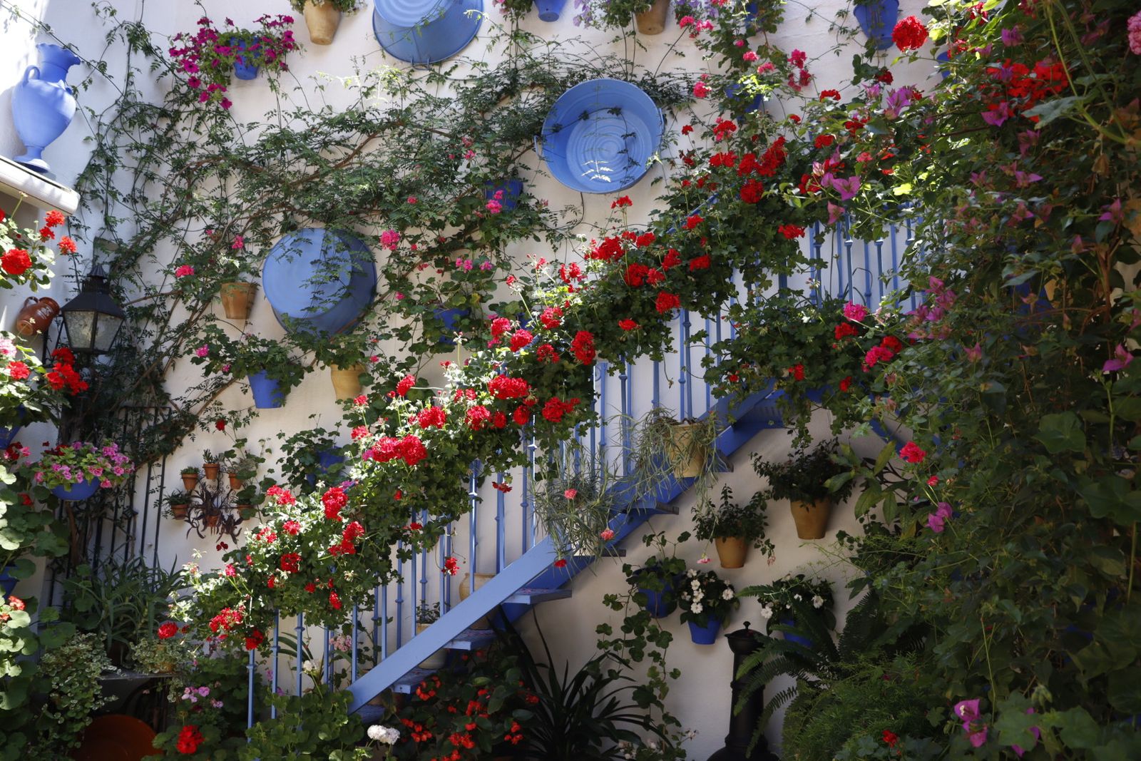 Ruta de los patios de San Lorenzo