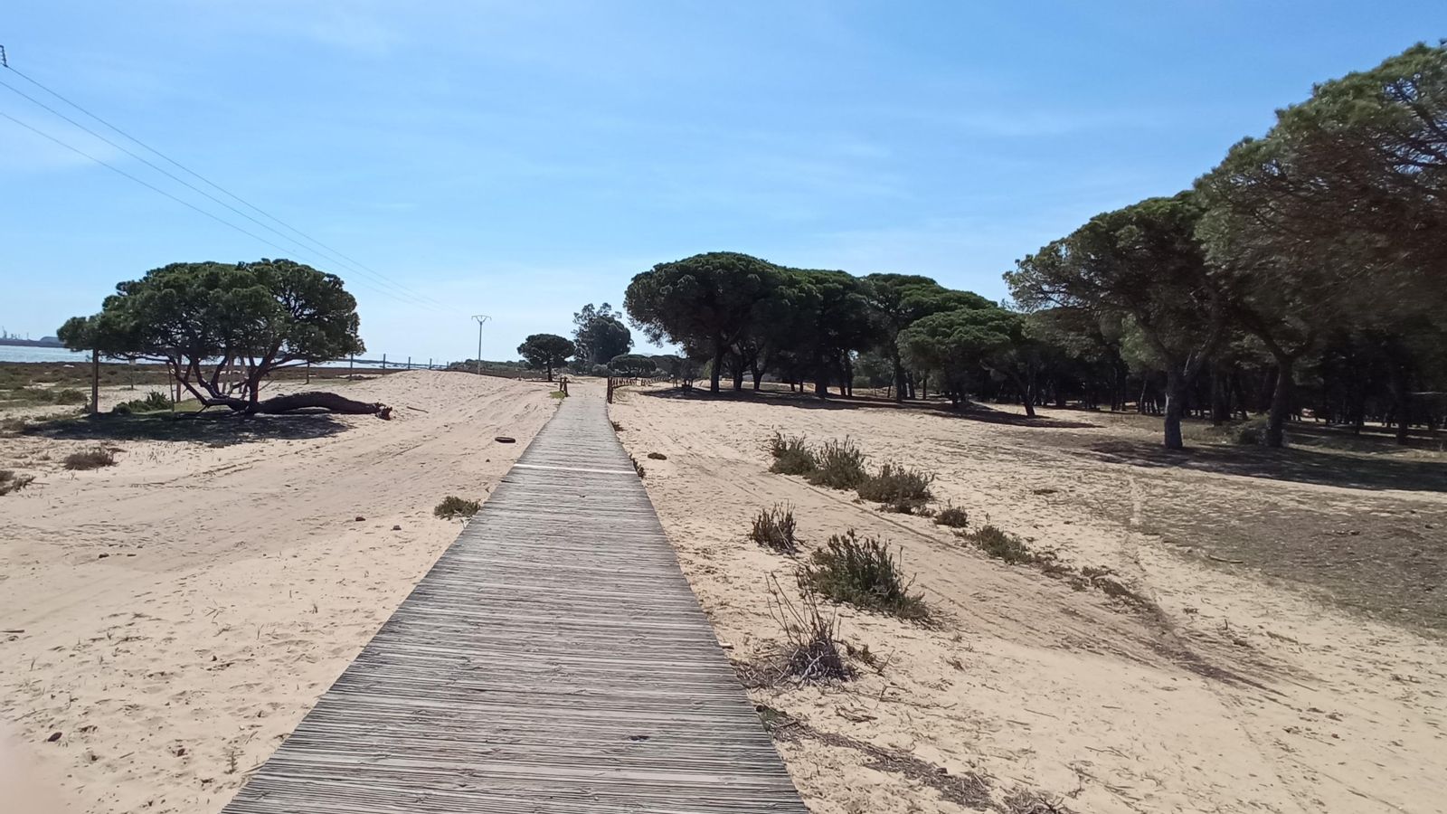 Pasarela de madera entre arena de playa