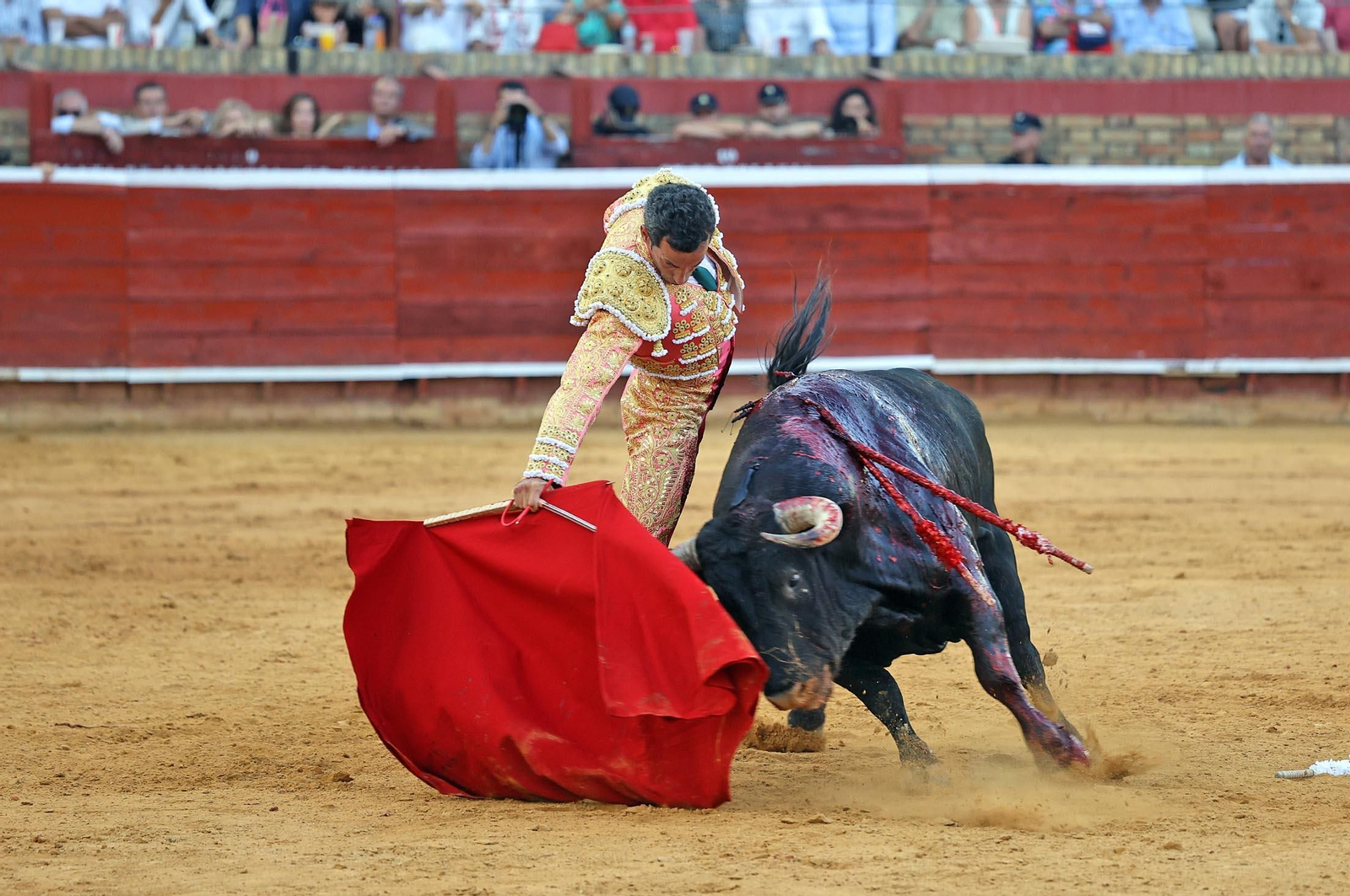 Toros La Merced: Imágenes de la corrida de David de Miranda, Roca Rey y Manzanare
