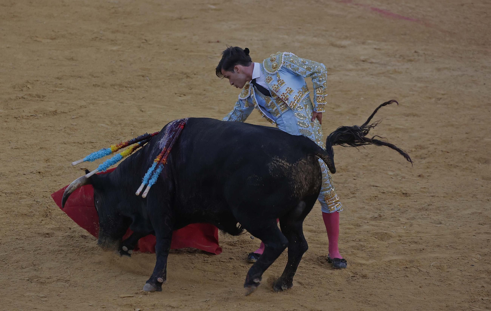 Fotos de la novillada sin picadores del miércoles de la Feria Real de Algeciras 2025