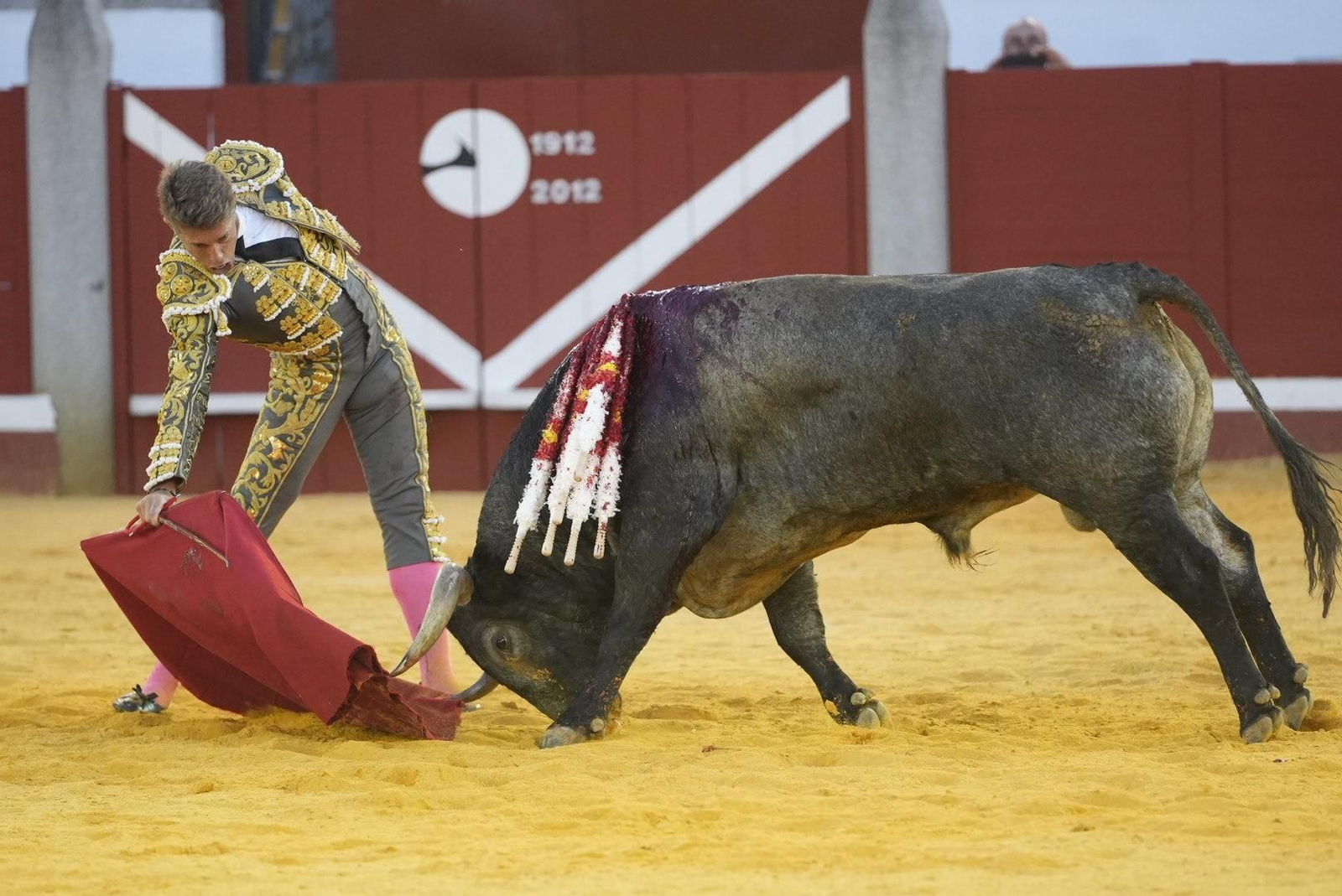 La corrida de toros de Ferrera, Escribano y Lamelas en Pozoblanco, en imágenes