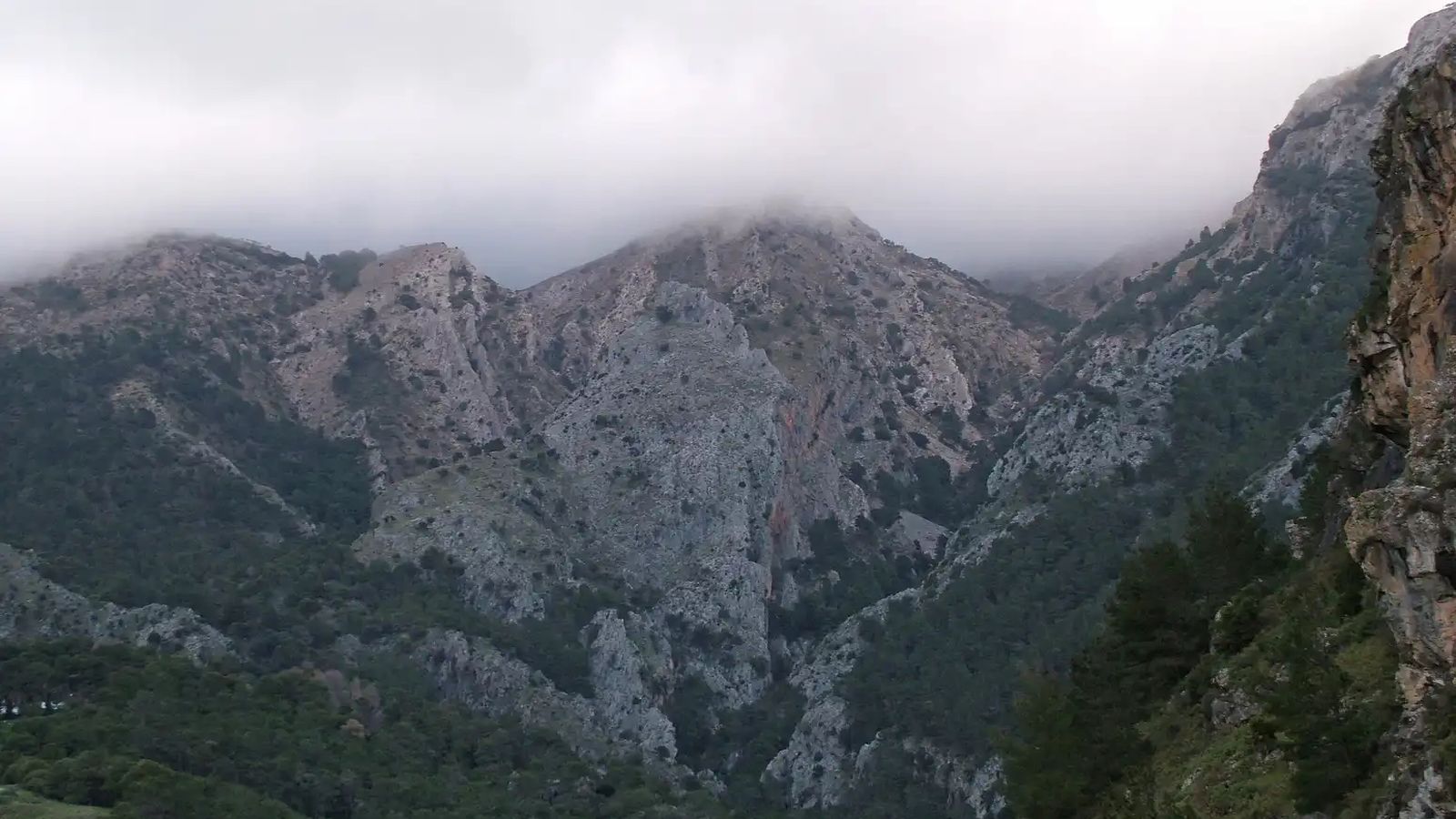 Los Tajos de Alcázar.