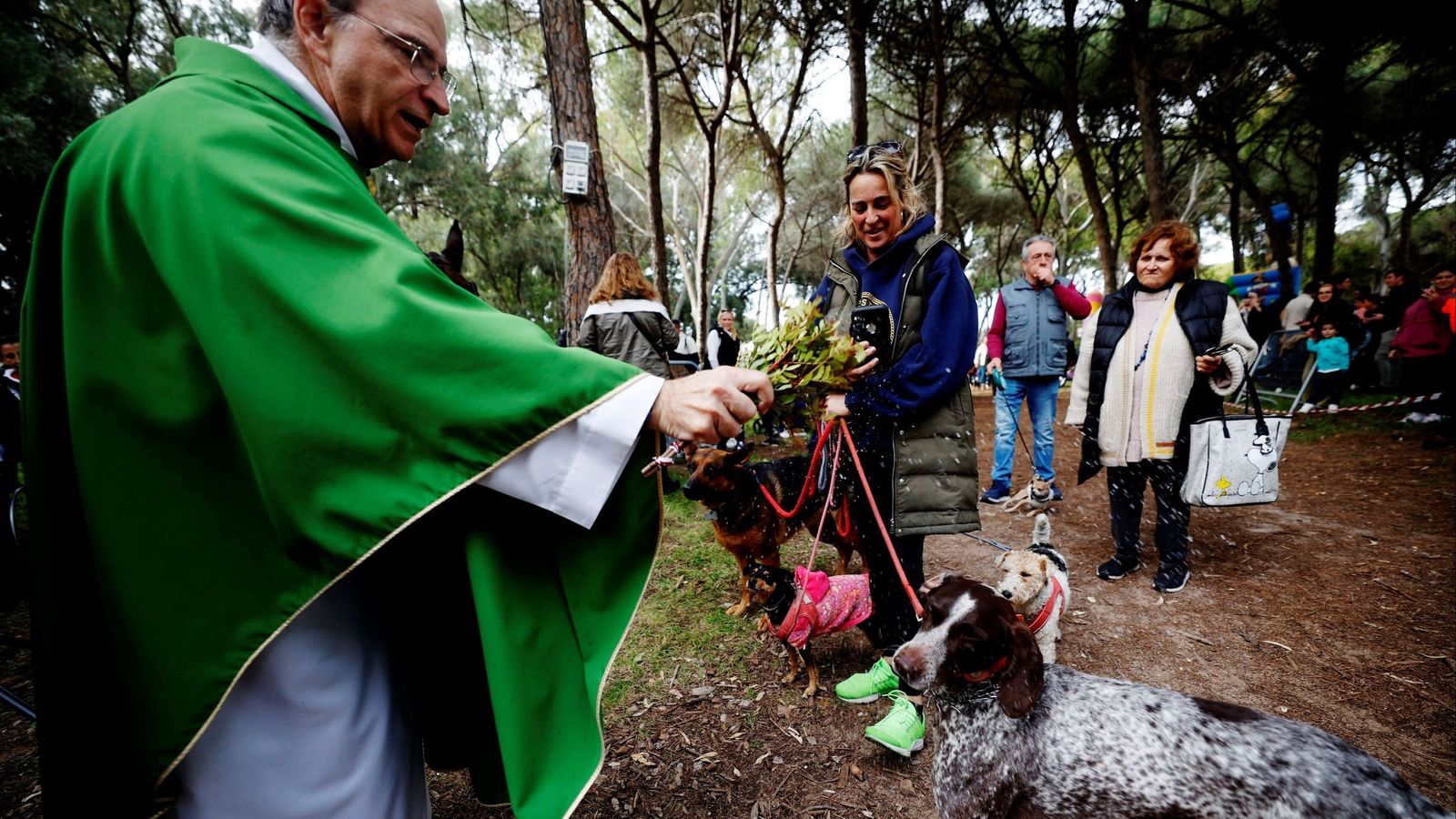 Una imagen de la última edición de la festividad de San Antón.
