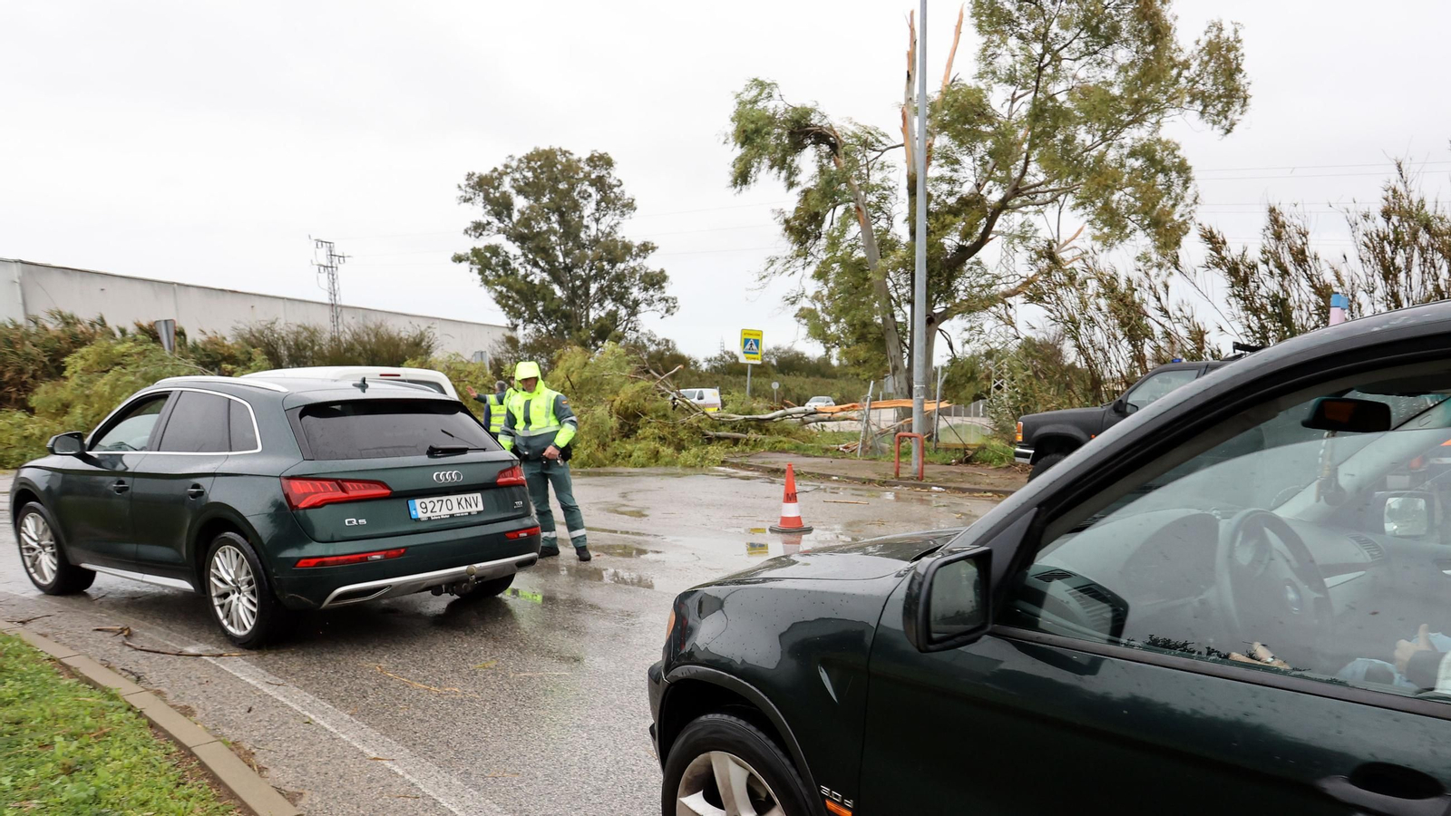 Imágenes del temporal de viento y lluvia en Jerez