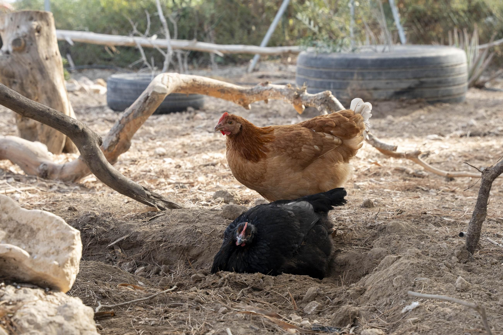 Visitamos el IES Sol de Portocarrero de La Cañada de San Urbano para ver las nuevas infraestructuras para FP en los centros educativos de la provincia de Almería, en imágenes