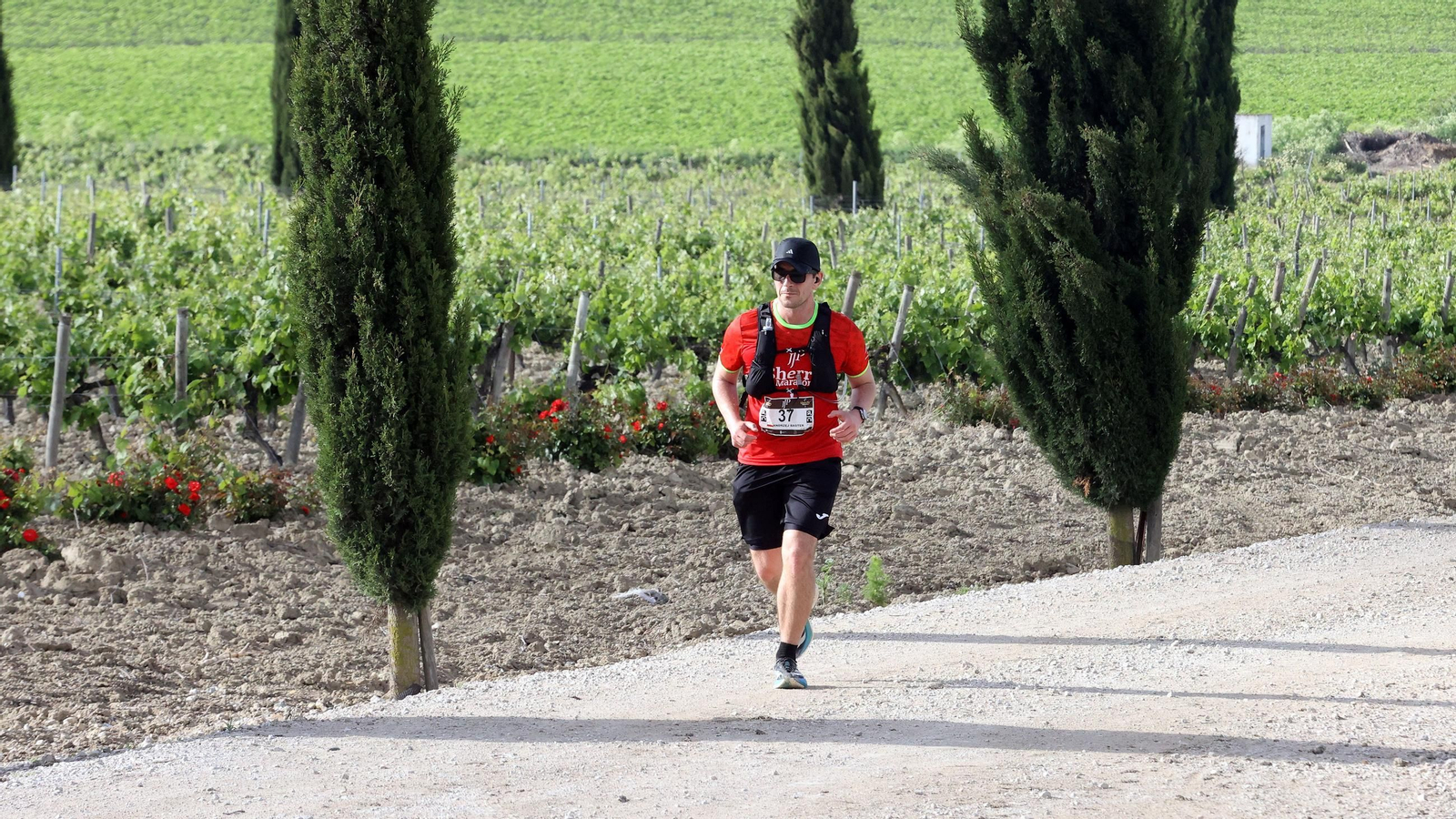 Búscate en la Sherry Maratón 2025 de Jerez (I)