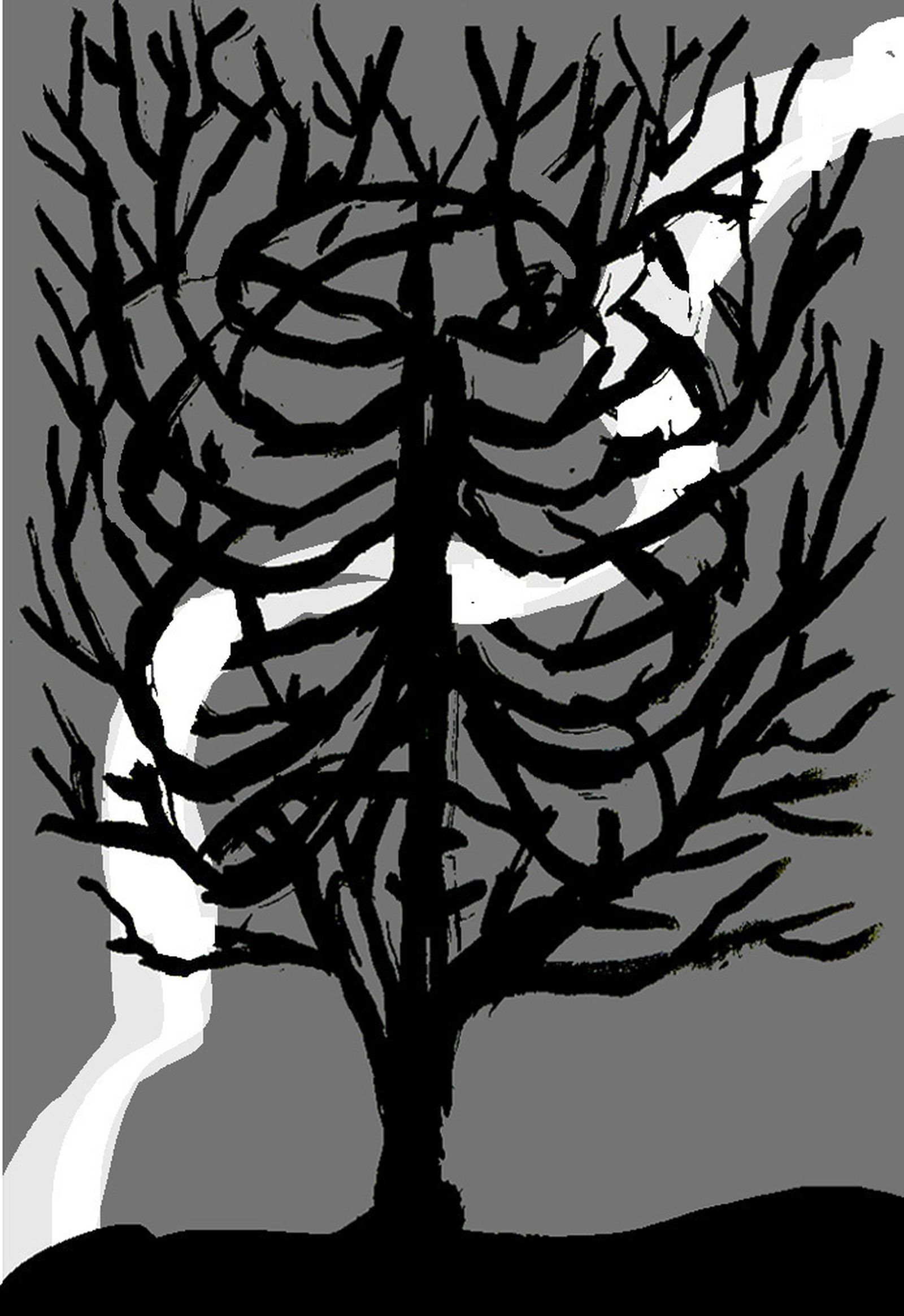 Sobre el incendio en Doñana