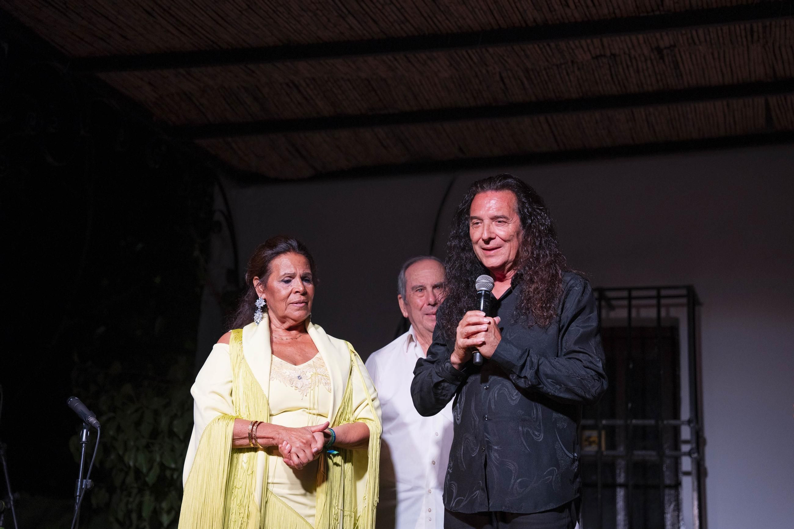 Las mejores imágenes del Festival de Flamenco en Fondón