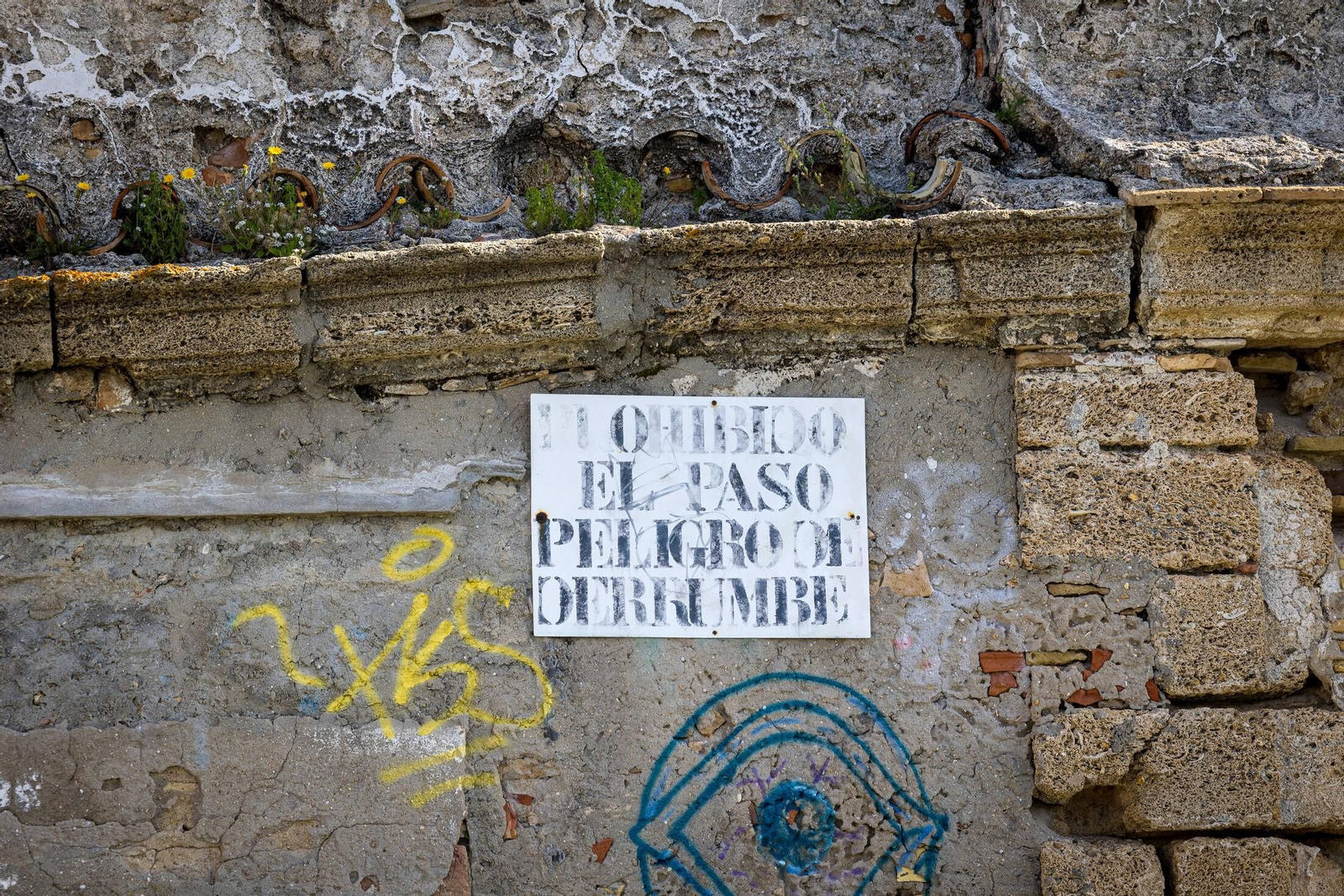 Imágenes del pésimo estado del molino de mareas de Cádiz