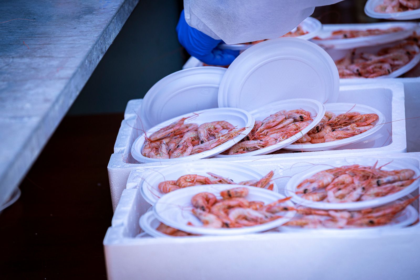 Búscate en la Gambada Solidaria Popular 2025 en Cádiz