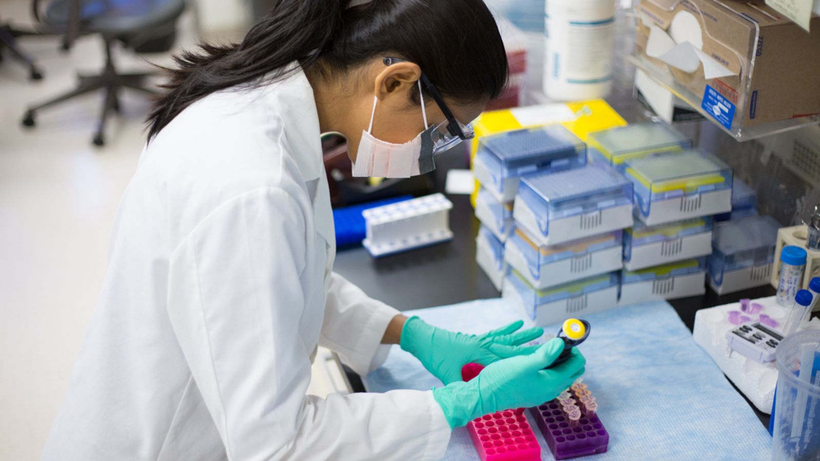 Investigación del 'hijo de tres padres'