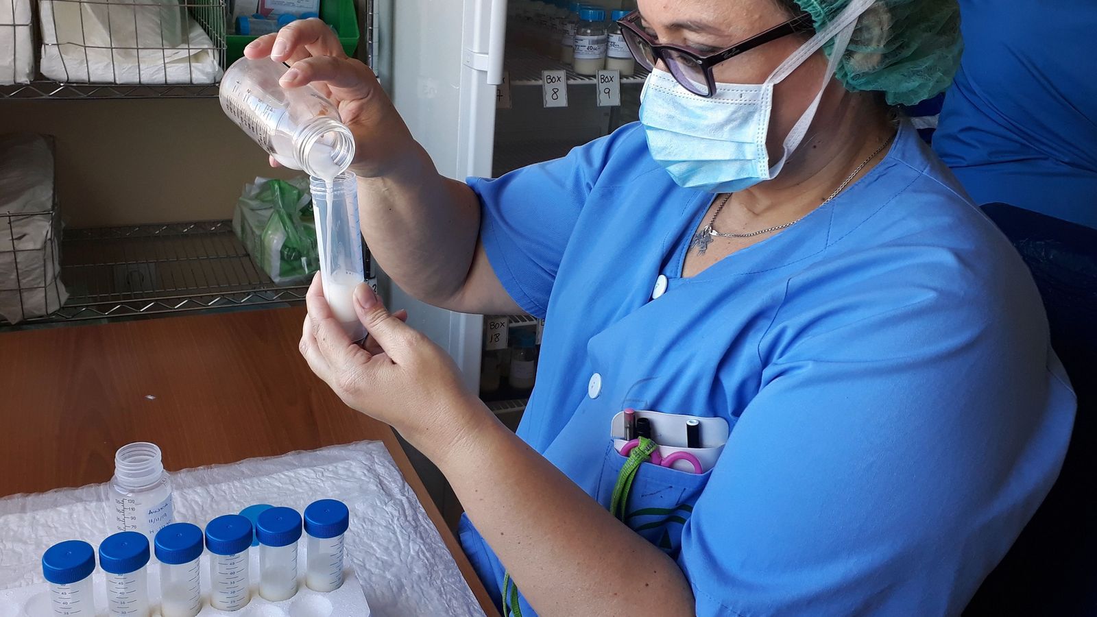 Auxiliar de la Unidad de Neonatología preparando las tomas de leche materna a los recién nacidos que precisan el ingreso en esta unidad.