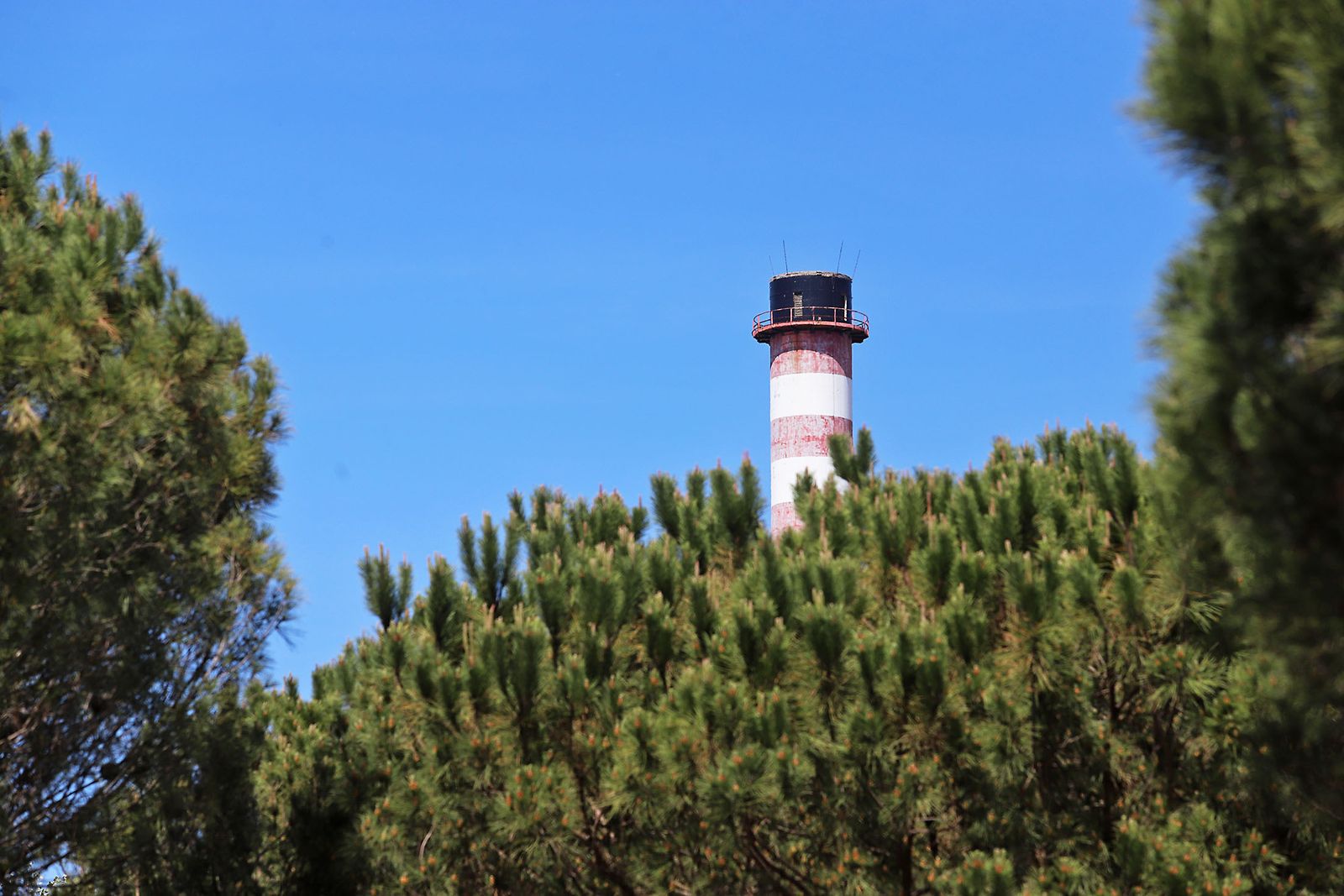 El presidente de la Junta de Andalucía Juanma Moreno visita la Laguna Primera de Palos (Huelva)