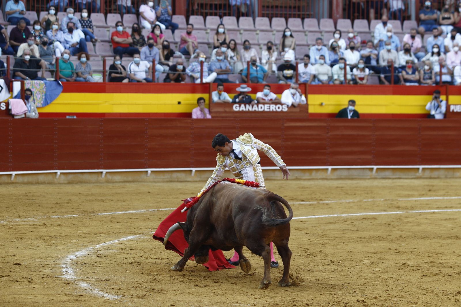 Fotogalería corrida de toros. Cayetano Rivera, Paco Ureña y Roca Rey. Roquetas de Mar.