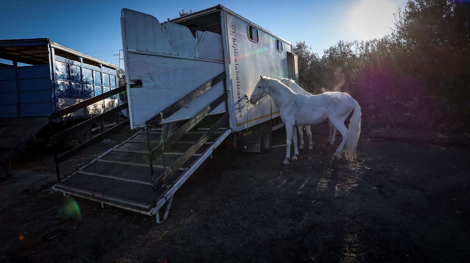 I Ruta de Carruajes Viñas de Jerez