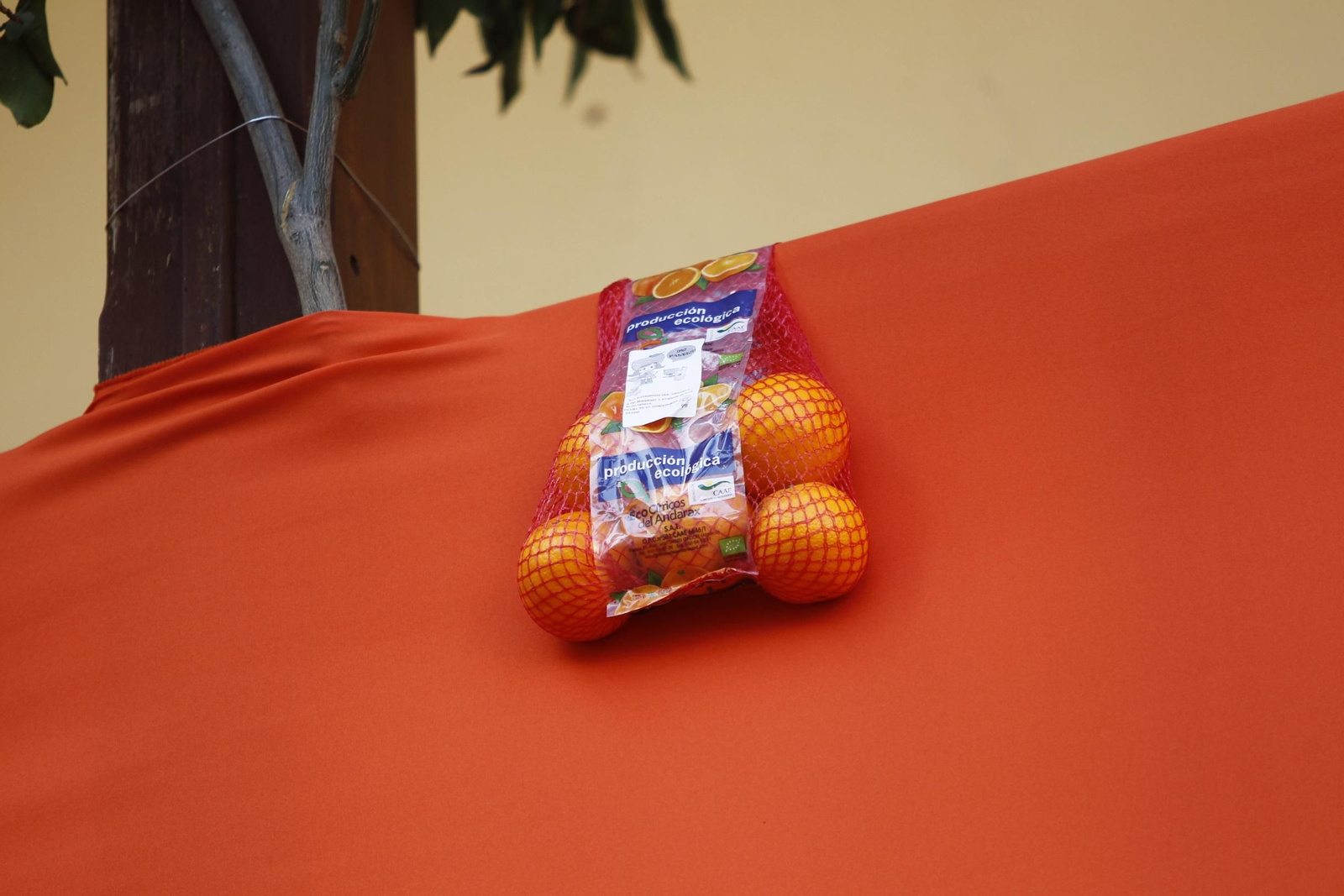 Fotogalería Día de la Naranja en Gádor