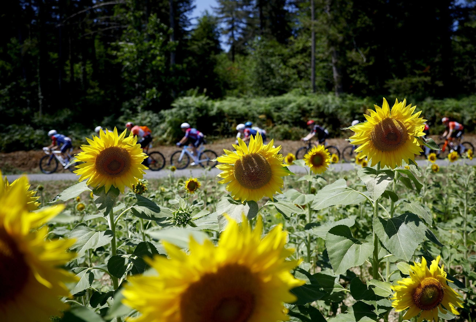 Las mejores fotos del Tour de Francia | Etapa 12