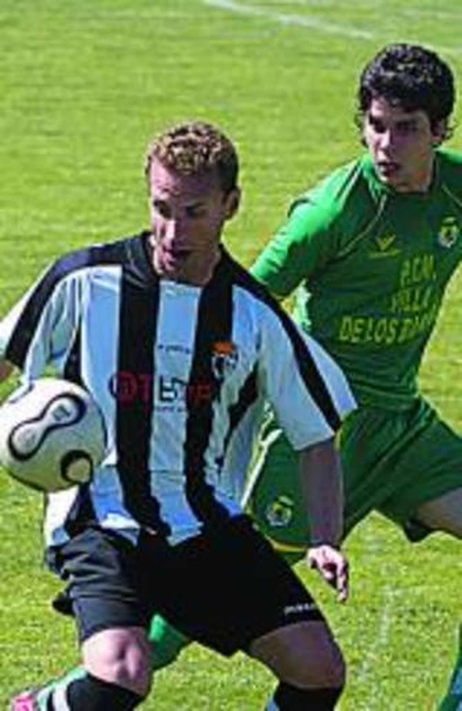 El gualdiverde De Gomar, tumbado en el césped.