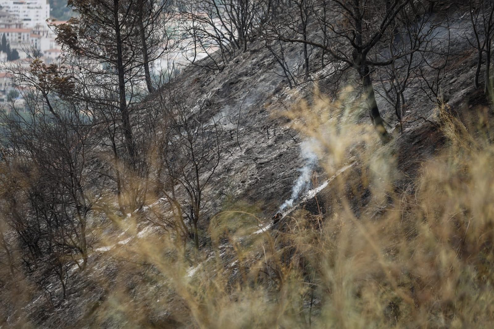 Las imágenes de la Fuente de la Bicha de Granada tras las llamas