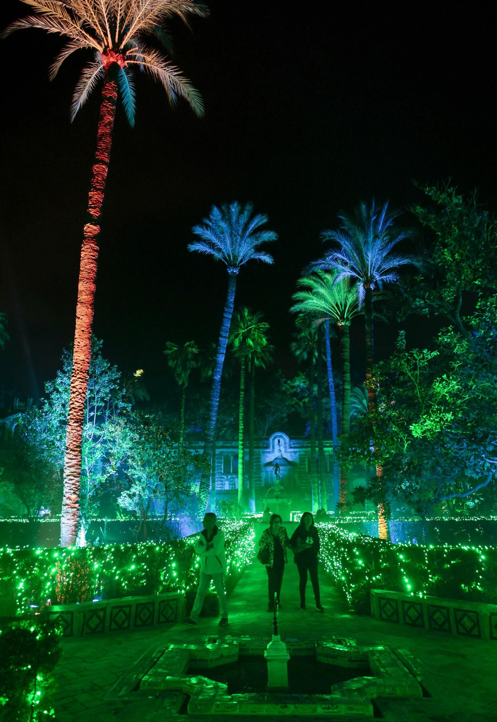 Las imágenes de un paseo por Naturaleza Encendida