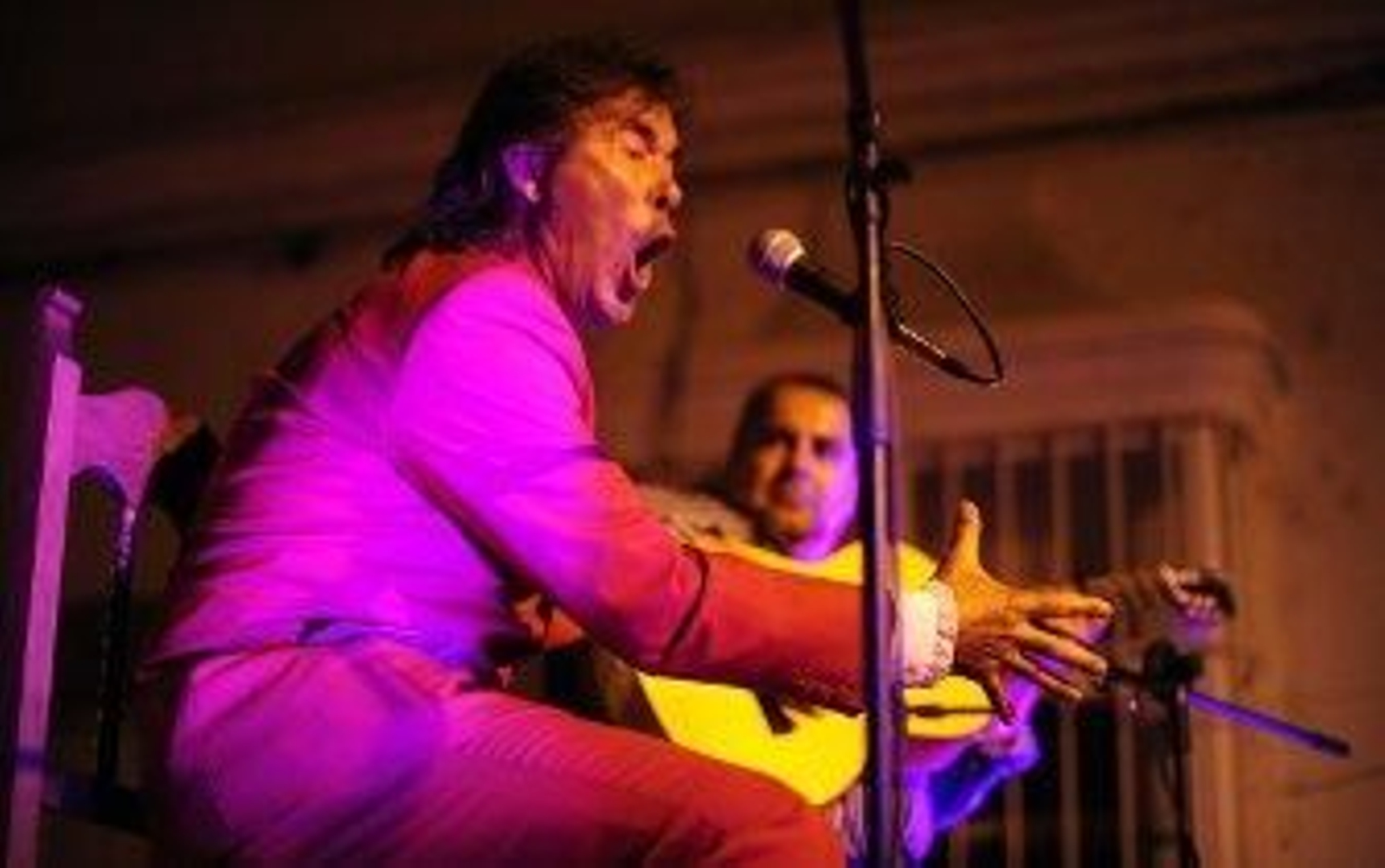 Flamenco en los rincones de La Isla